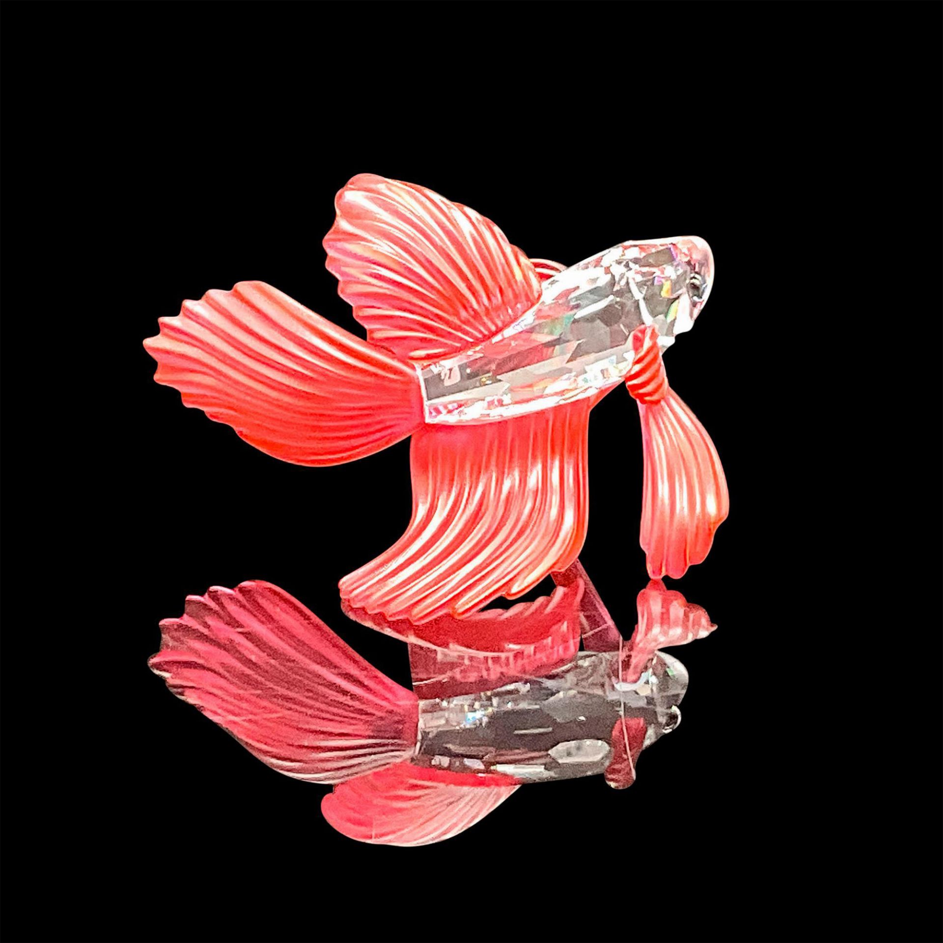 Swarovski Crystal Animal Figurine, Siamese Fighting Fish Red - Image 2 of 4