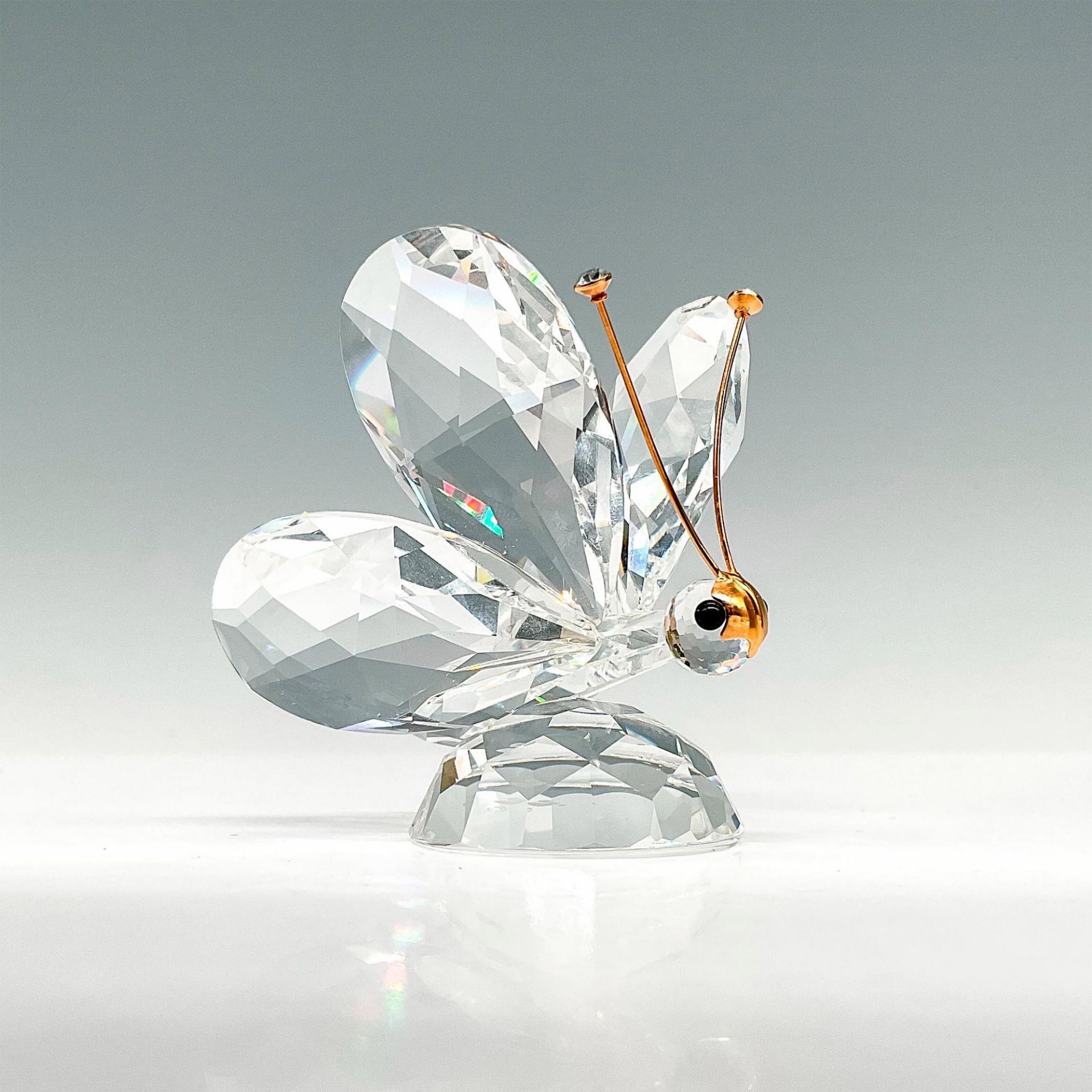 Swarovski Silver Crystal Figurine, Butterfly - Bild 3 aus 5
