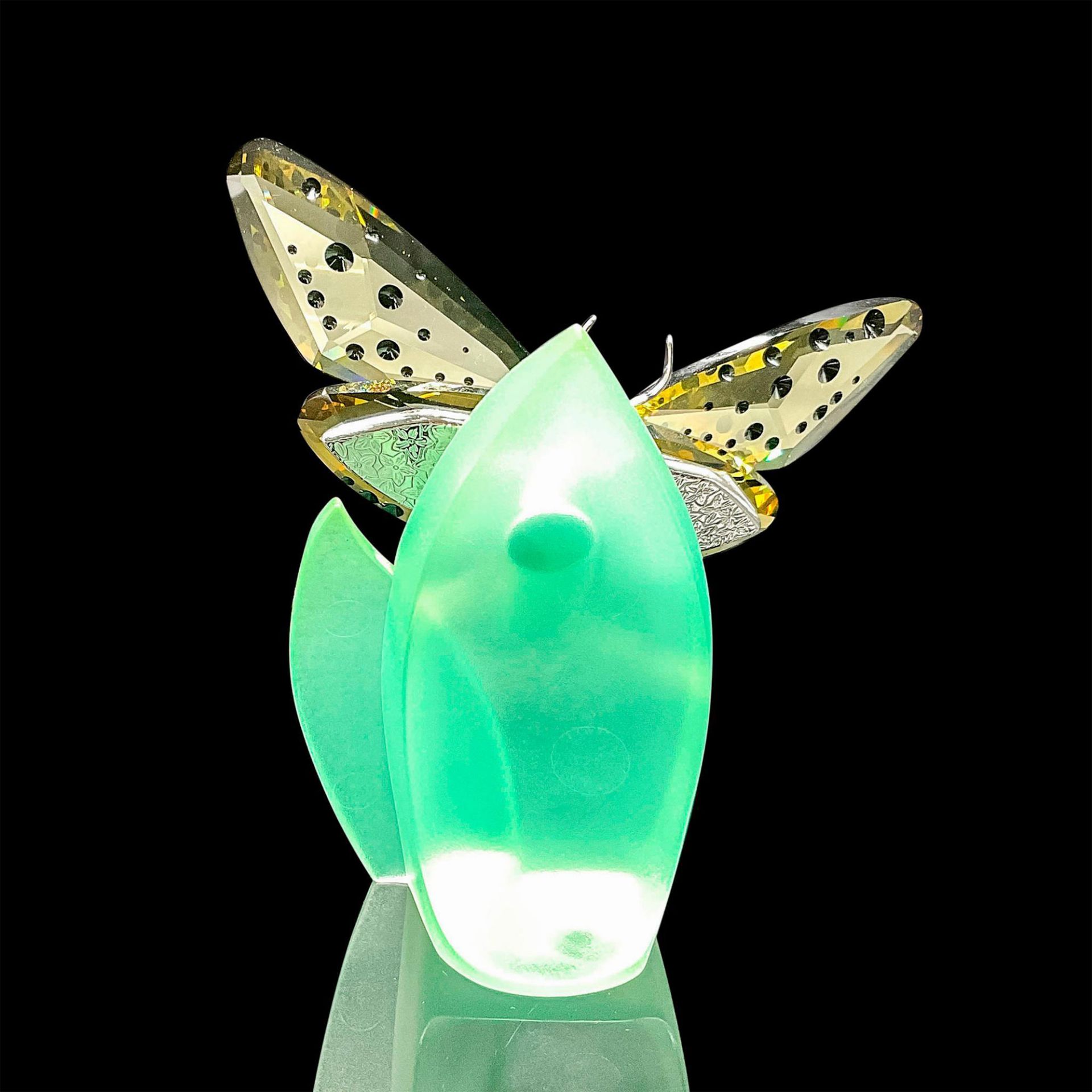 Swarovski Crystal Paradise Butterfly, Amorita Jonquil - Bild 2 aus 4