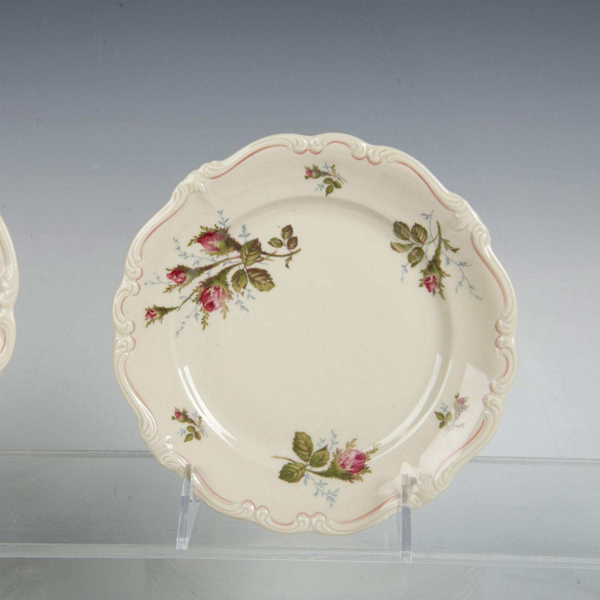 23pc Rosenthal Selb-Germany Pompadour Moss Rose Plates - Image 2 of 5