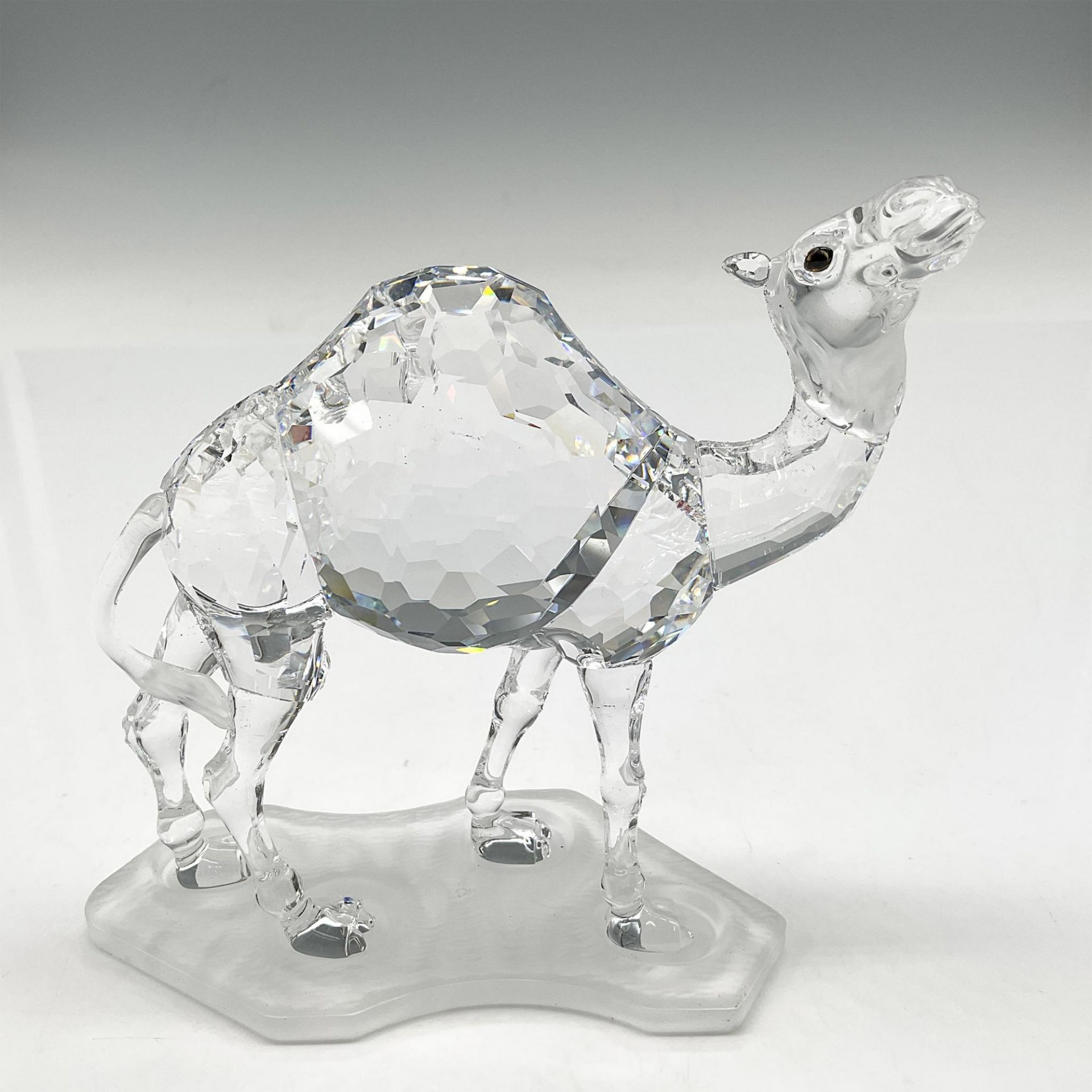 Swarovski Crystal Figurine, Camel