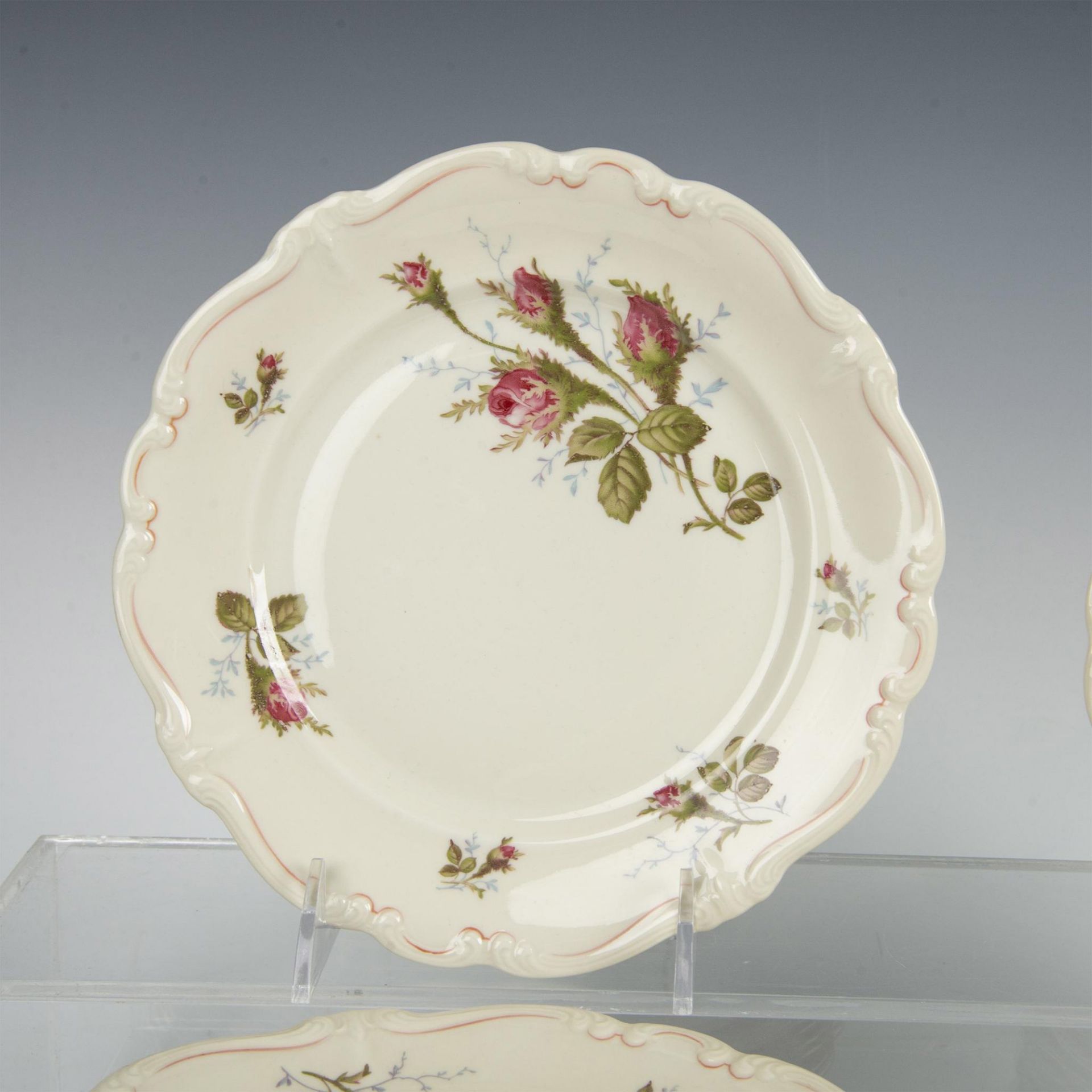 23pc Rosenthal Selb-Germany Pompadour Moss Rose Plates - Image 3 of 5