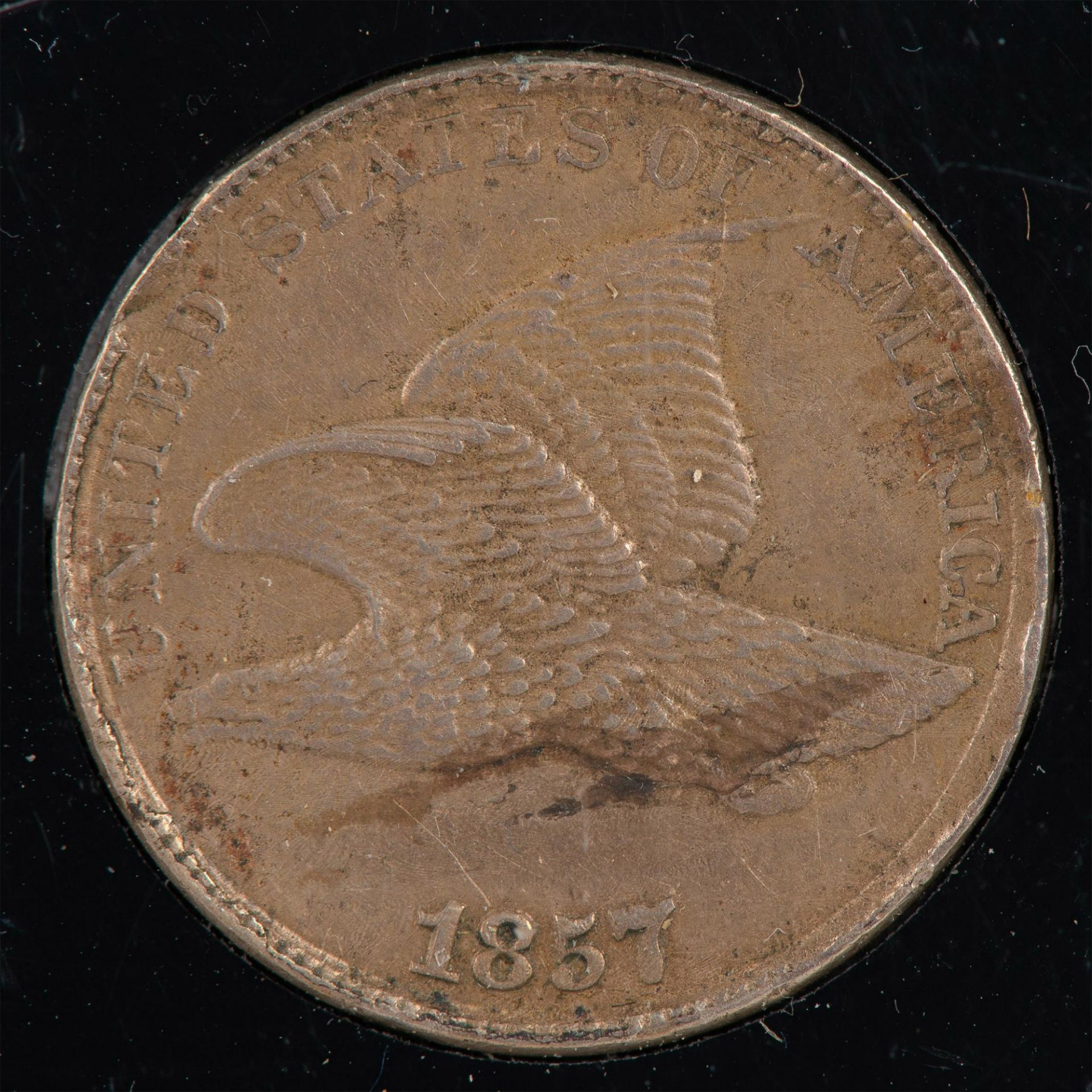 US TYPE CENTS 5PC - Image 4 of 12