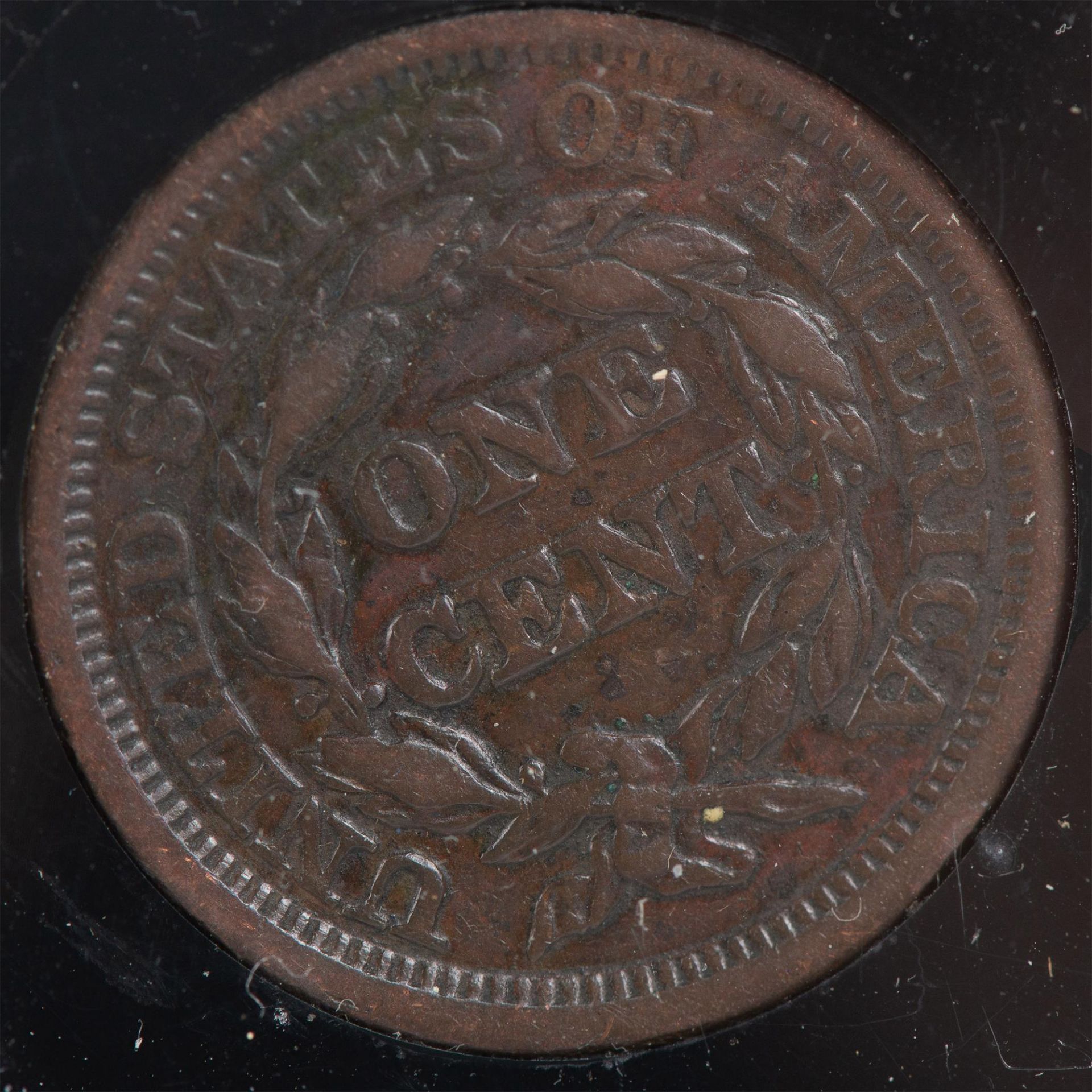 US TYPE CENTS 5PC - Image 8 of 12