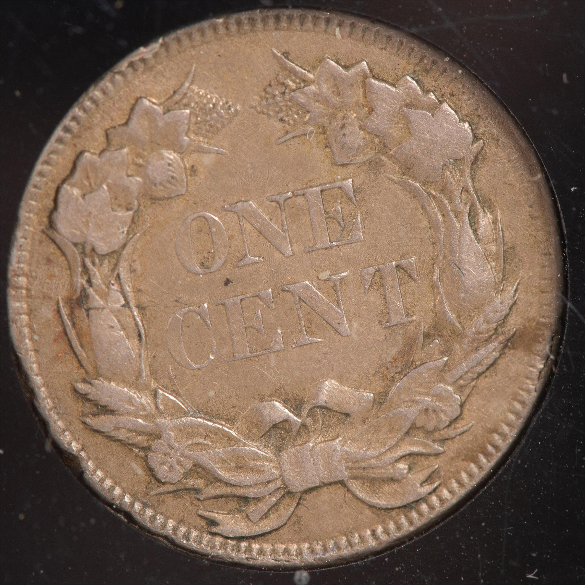 US TYPE CENTS 5PC - Image 9 of 12