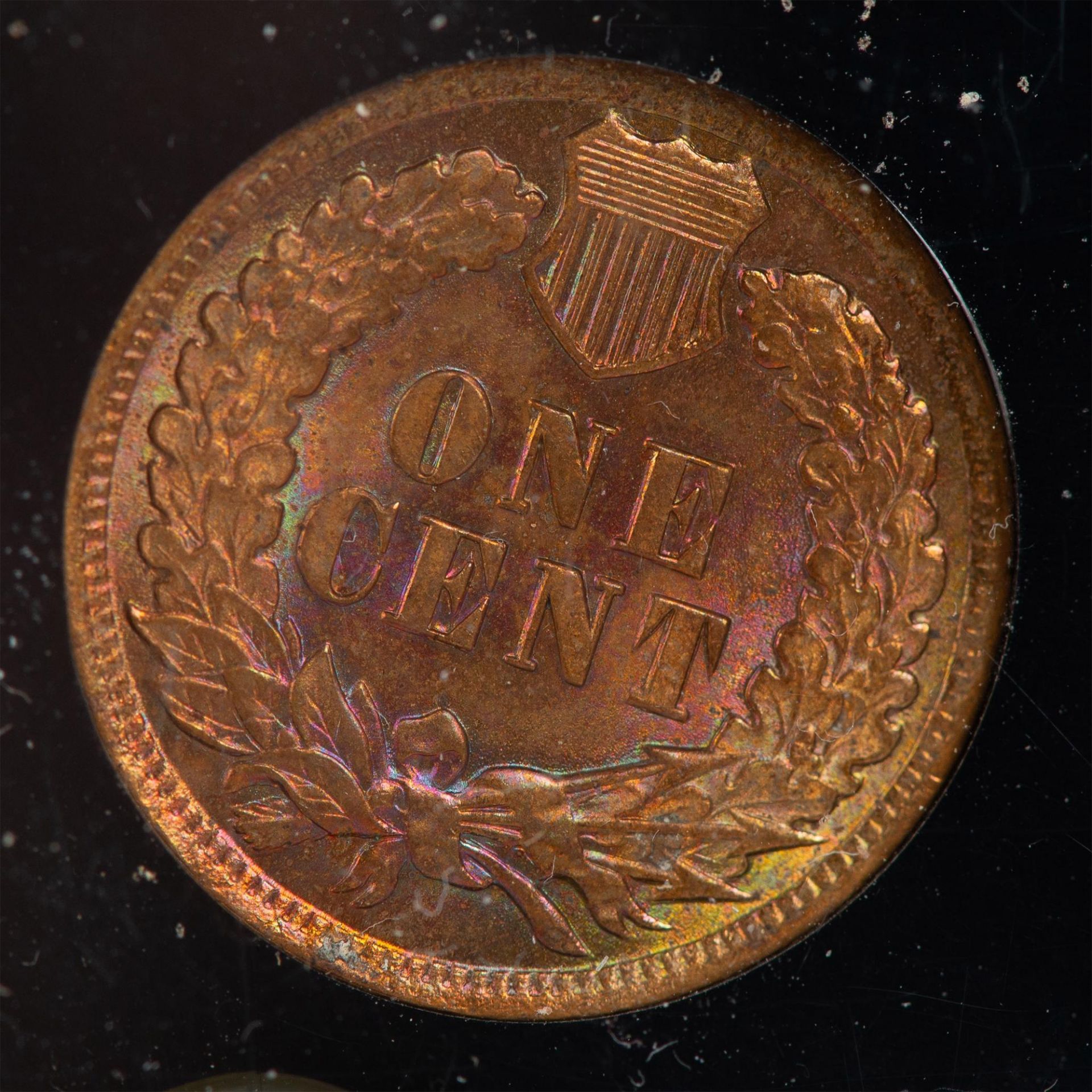 US TYPE CENTS 5PC - Image 10 of 12