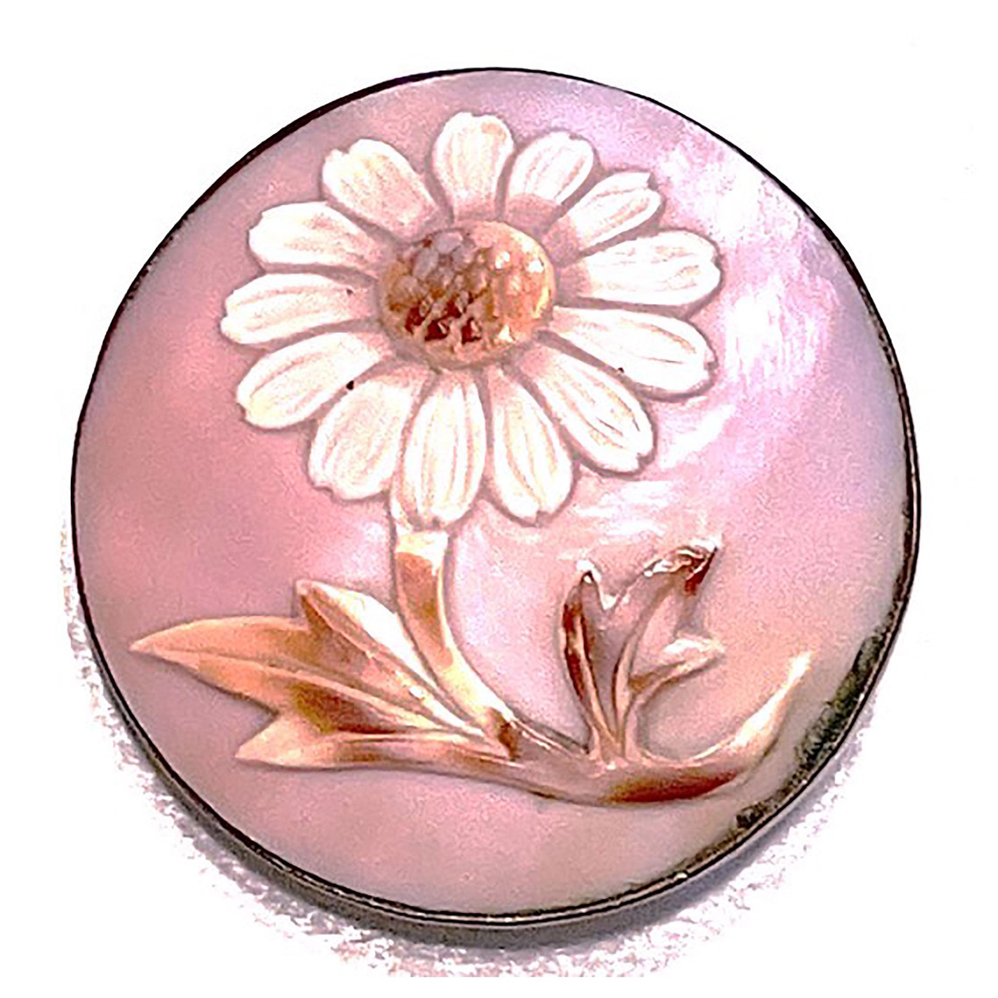 A division one carved non iridescent shell button