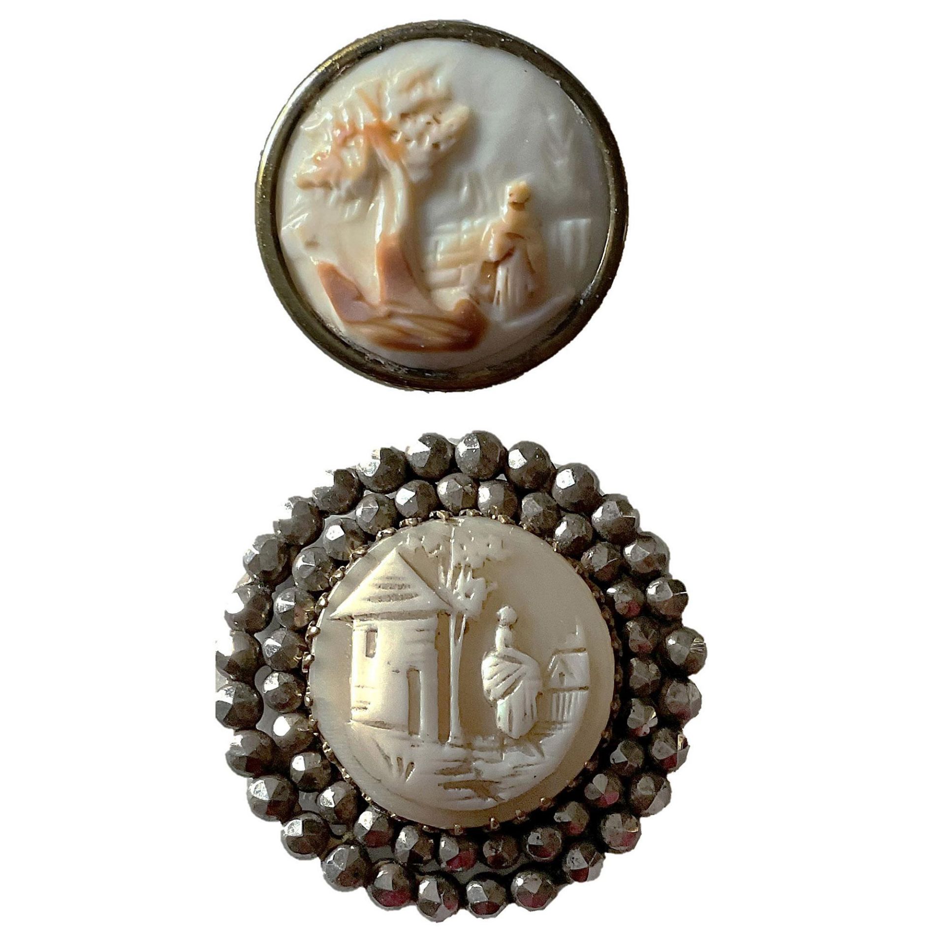 A small card of division one shell pictorial buttons