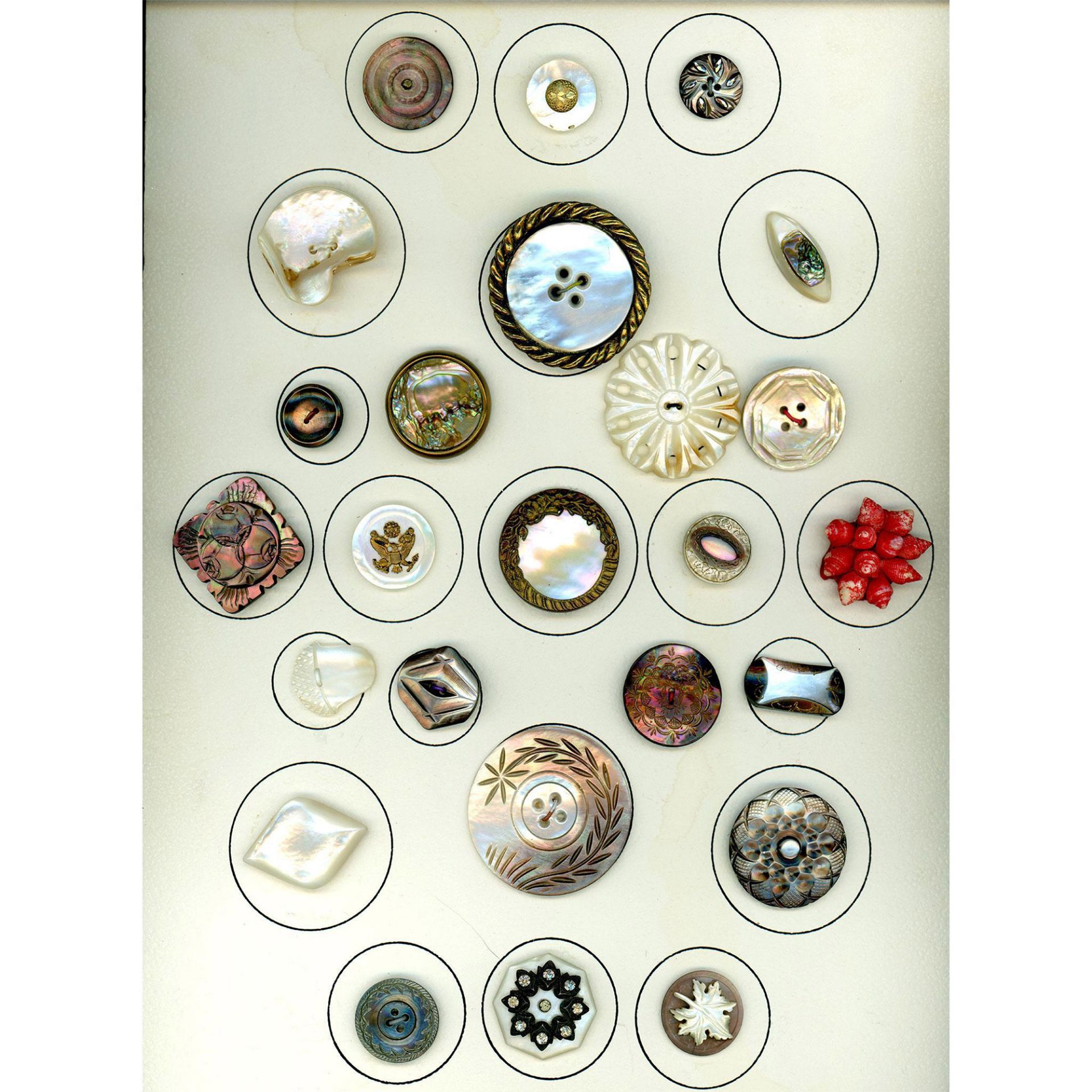 A card of assorted division one shell buttons