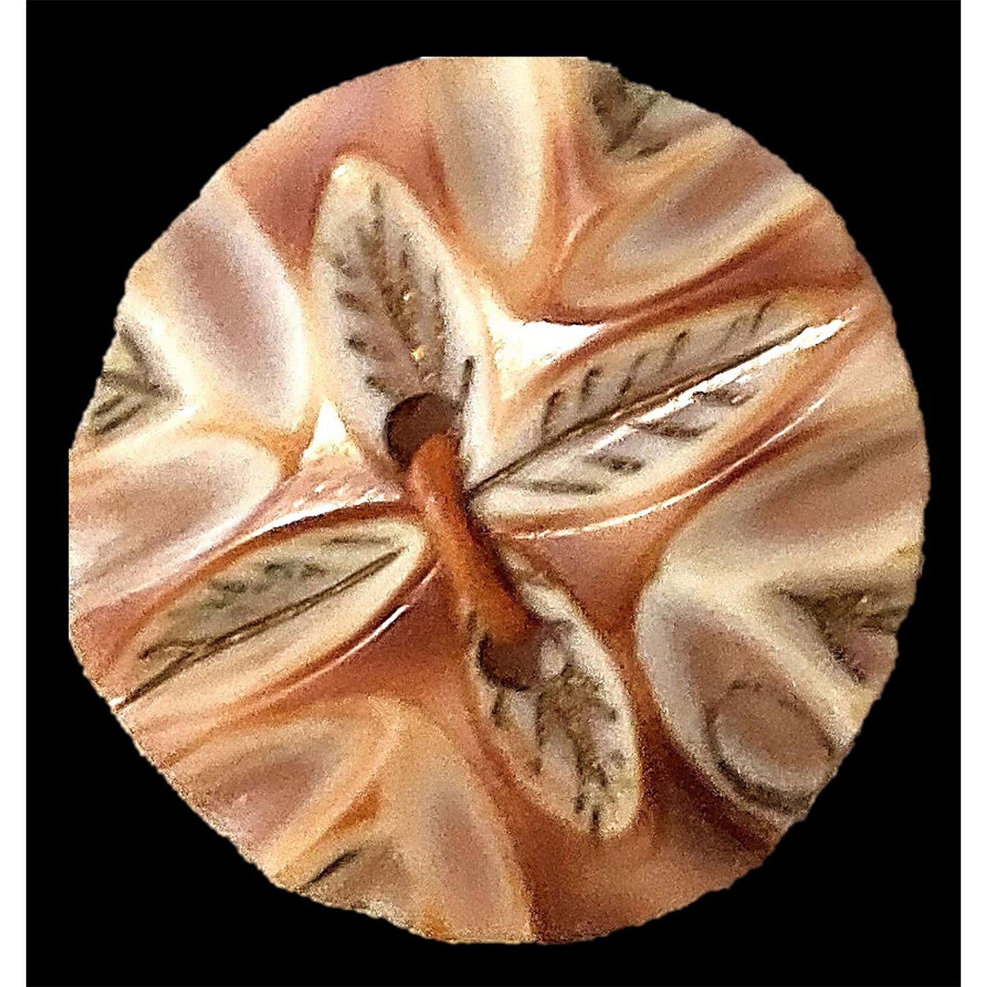 A card of division one carved shell buttons - Image 4 of 4