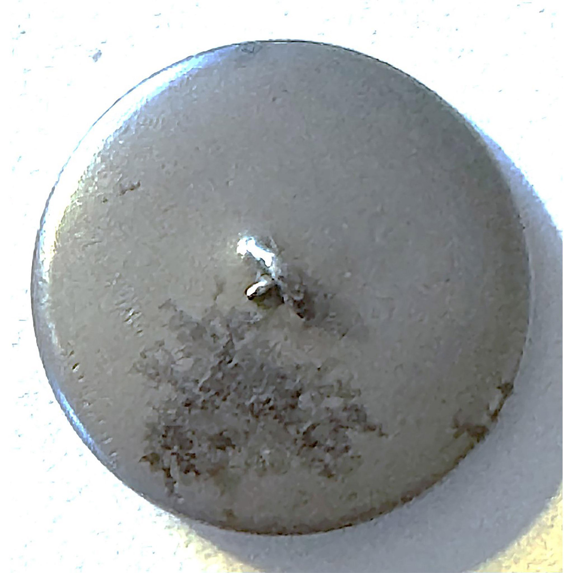 A division one pictorial steel cup button - Image 2 of 2