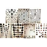 A box lot of assorted material buttons on cards