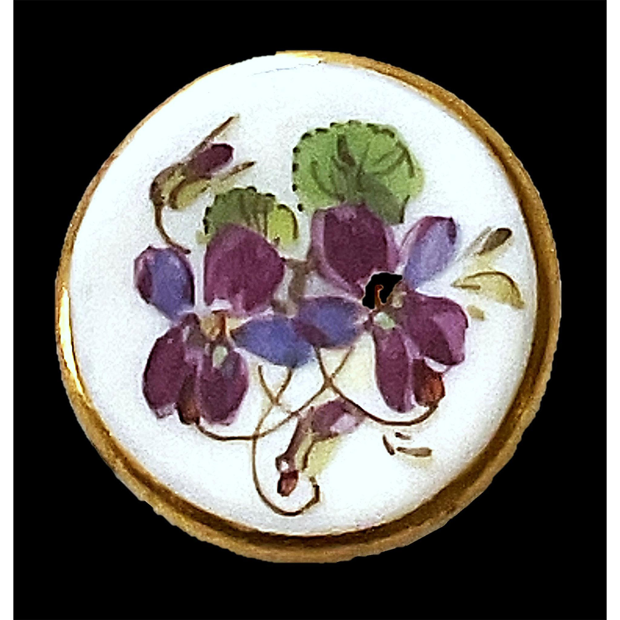 A division one pictorial porcelain button