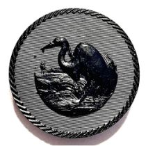 A division one pictorial black dyed horn button