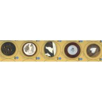 A small card of division 1 & 3 assorted wood buttons