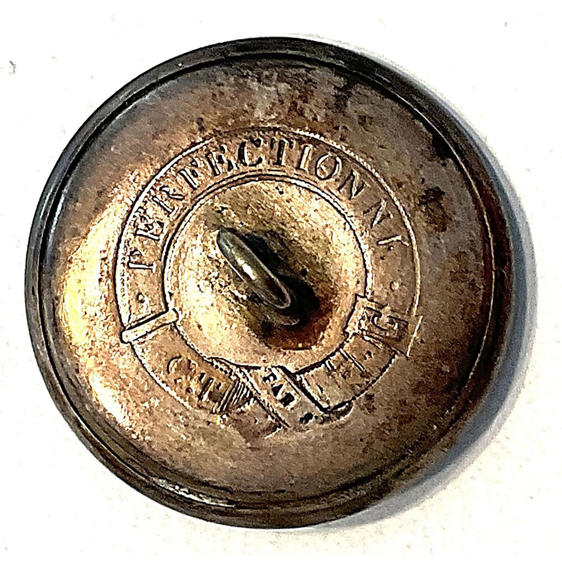 A scarce division one metal pictorial animal button - Bild 2 aus 2