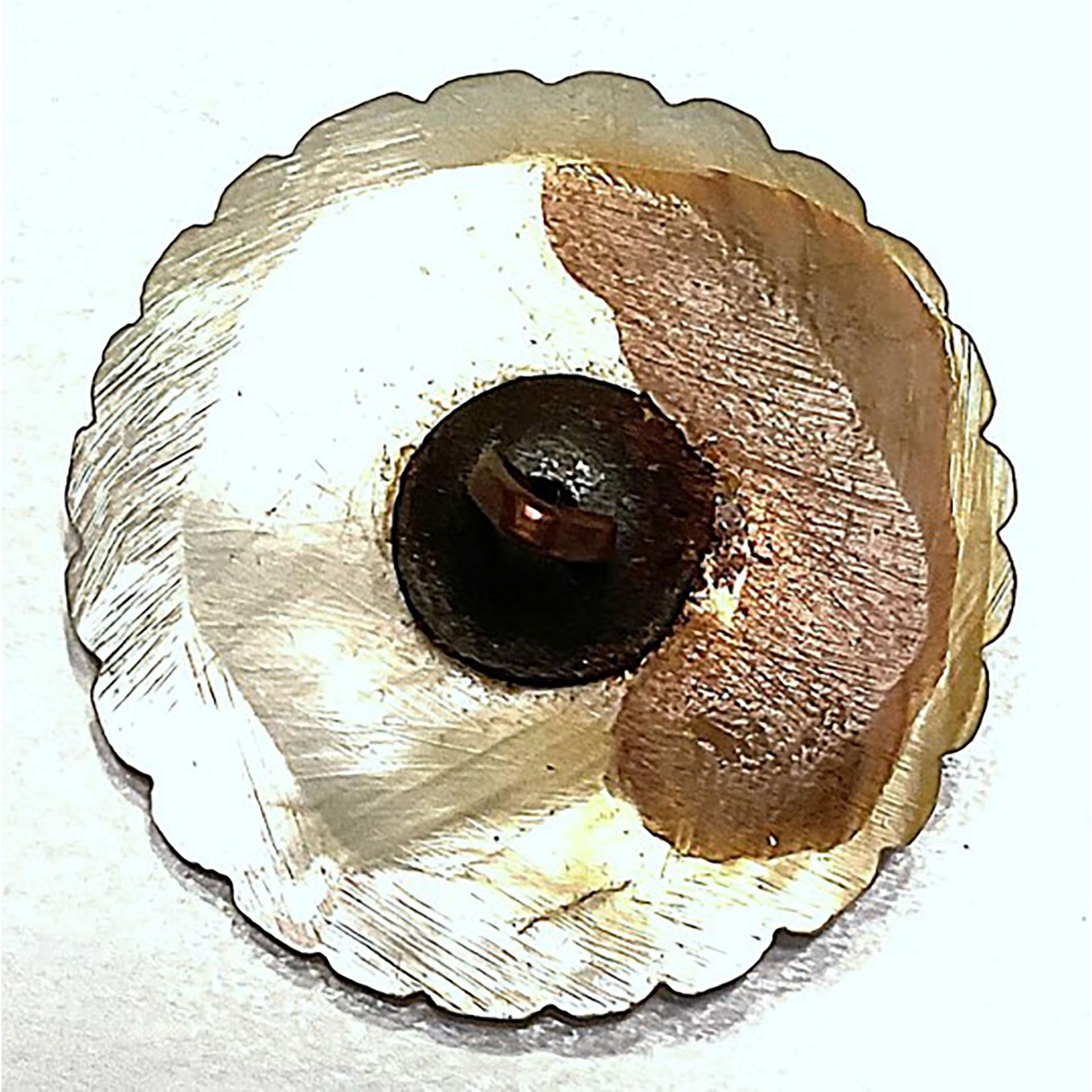 A division one scalloped carved pearl button - Bild 2 aus 2