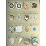 A card of assorted division 1 & 3 shell buttons