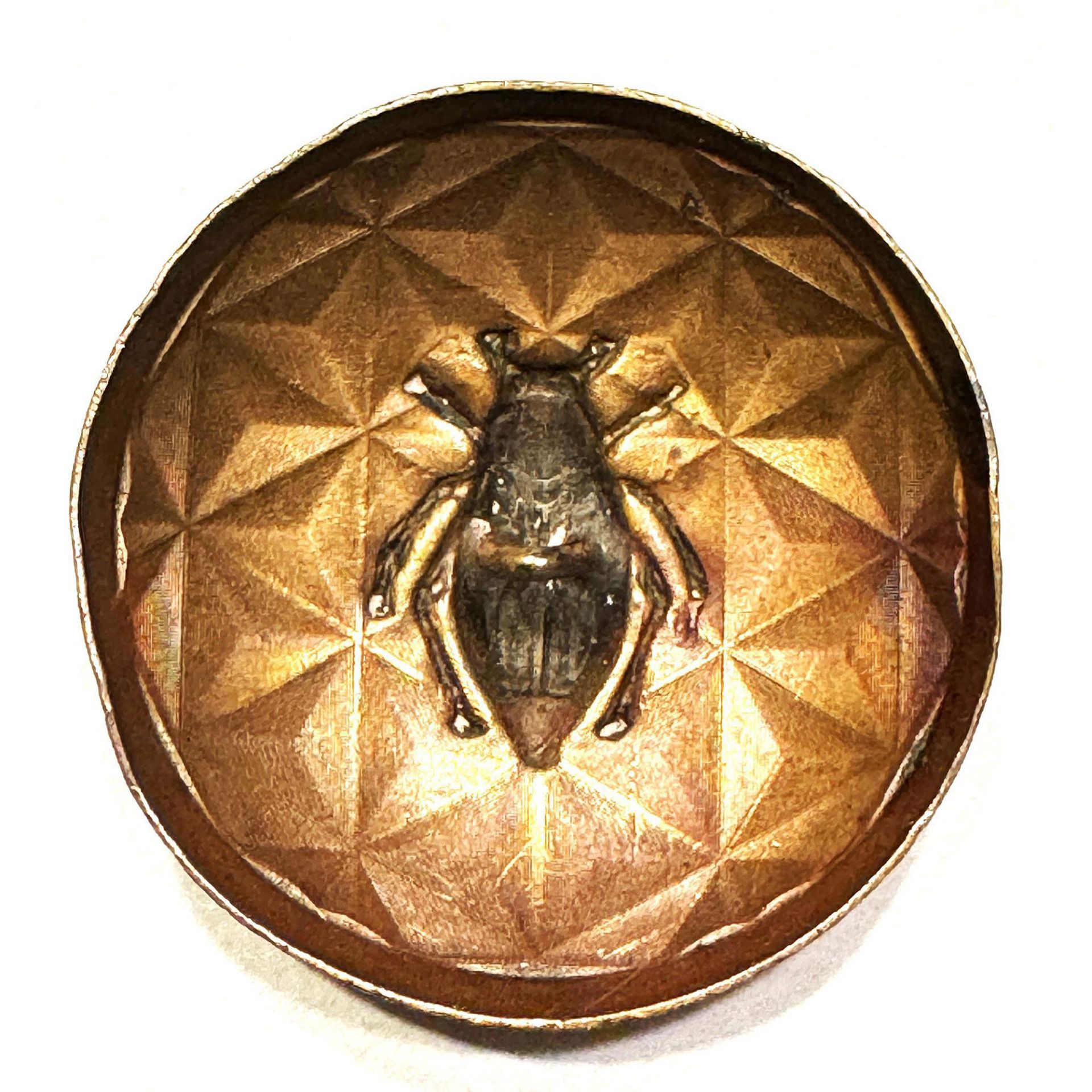 A division one brass pictorial insect button - Bild 2 aus 2