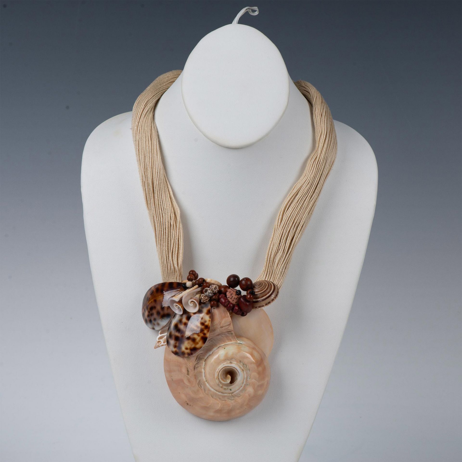 2pc Multi Shell Necklace and Hair Clip - Image 2 of 8