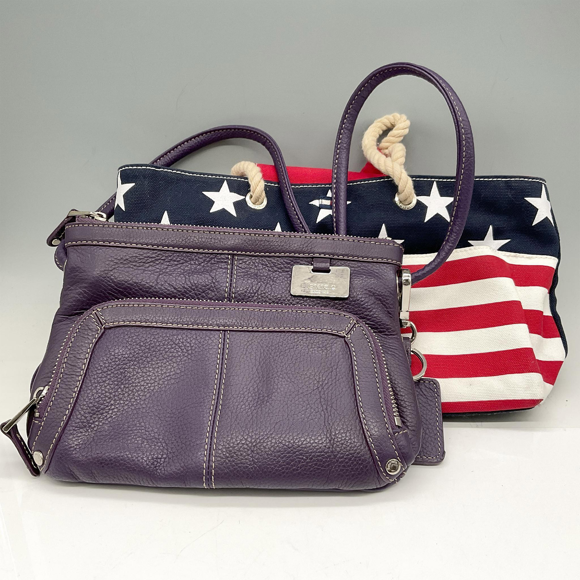 2pc Tignanello Purple Cross Body Bag + Canvas Tote