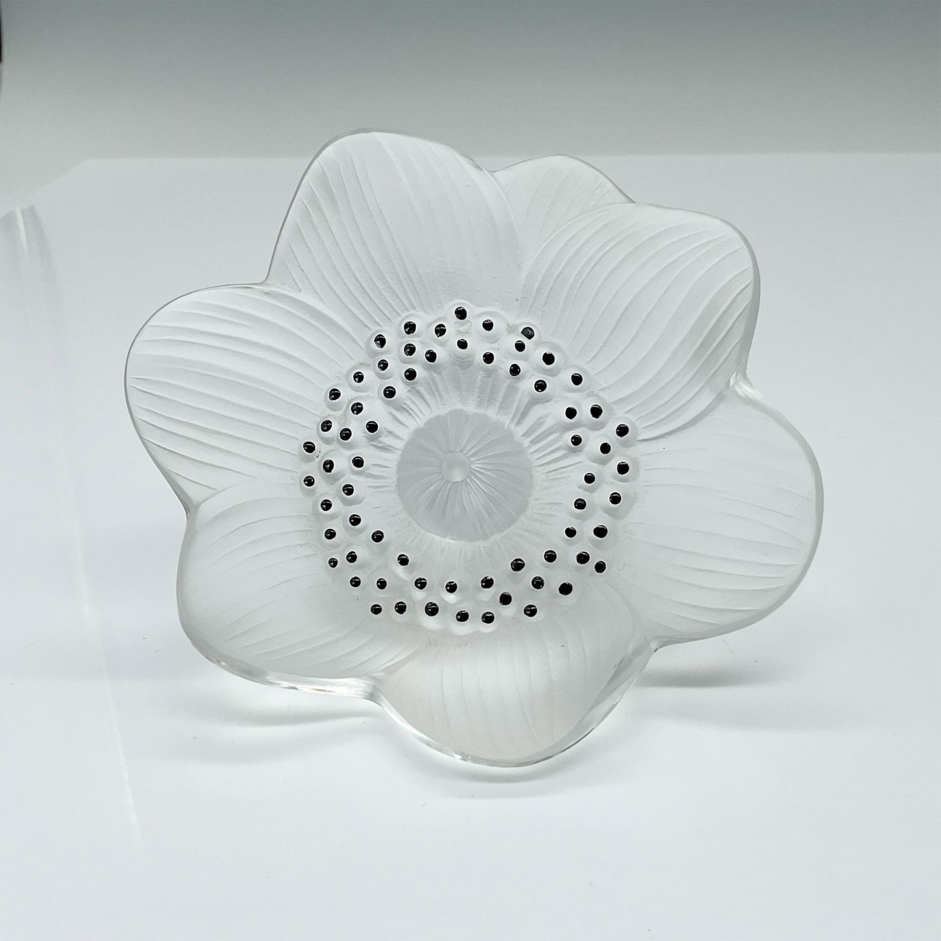 Lalique Crystal Flower Sculpture, Anemone