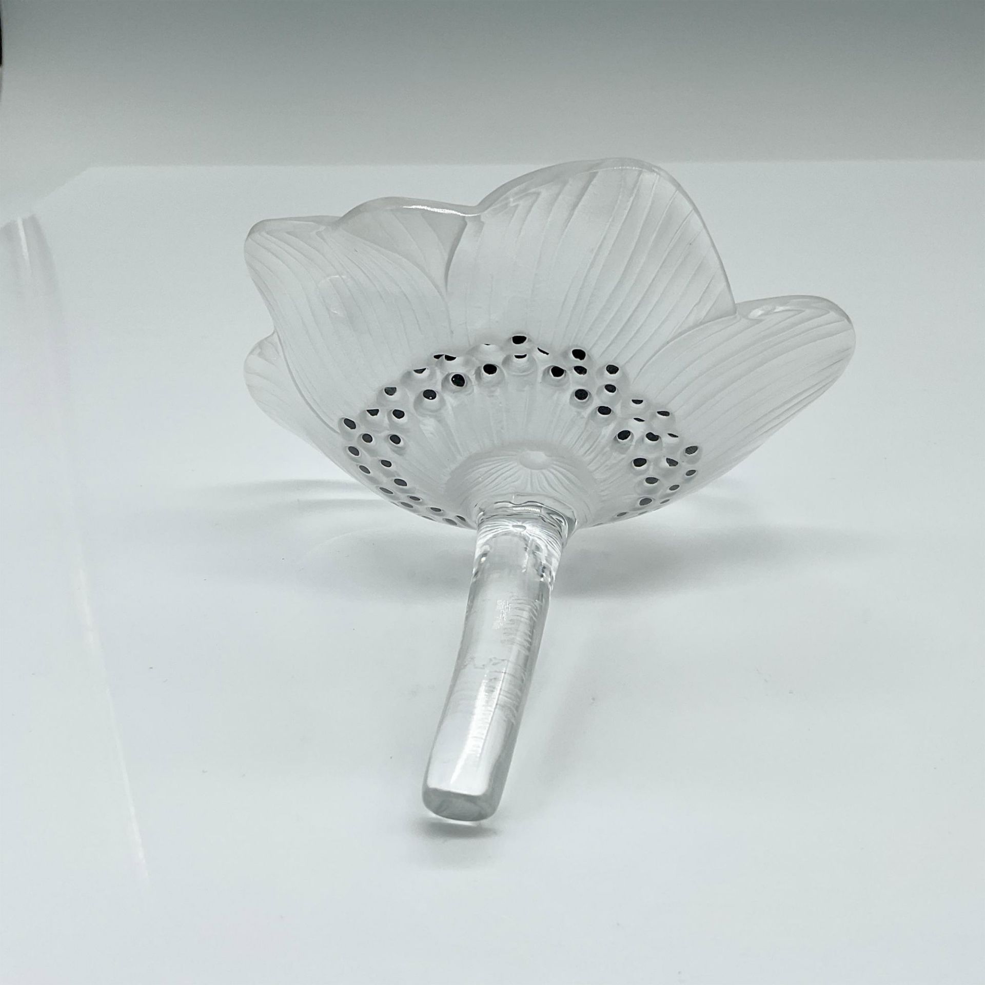 Lalique Crystal Flower Sculpture, Anemone - Image 2 of 3