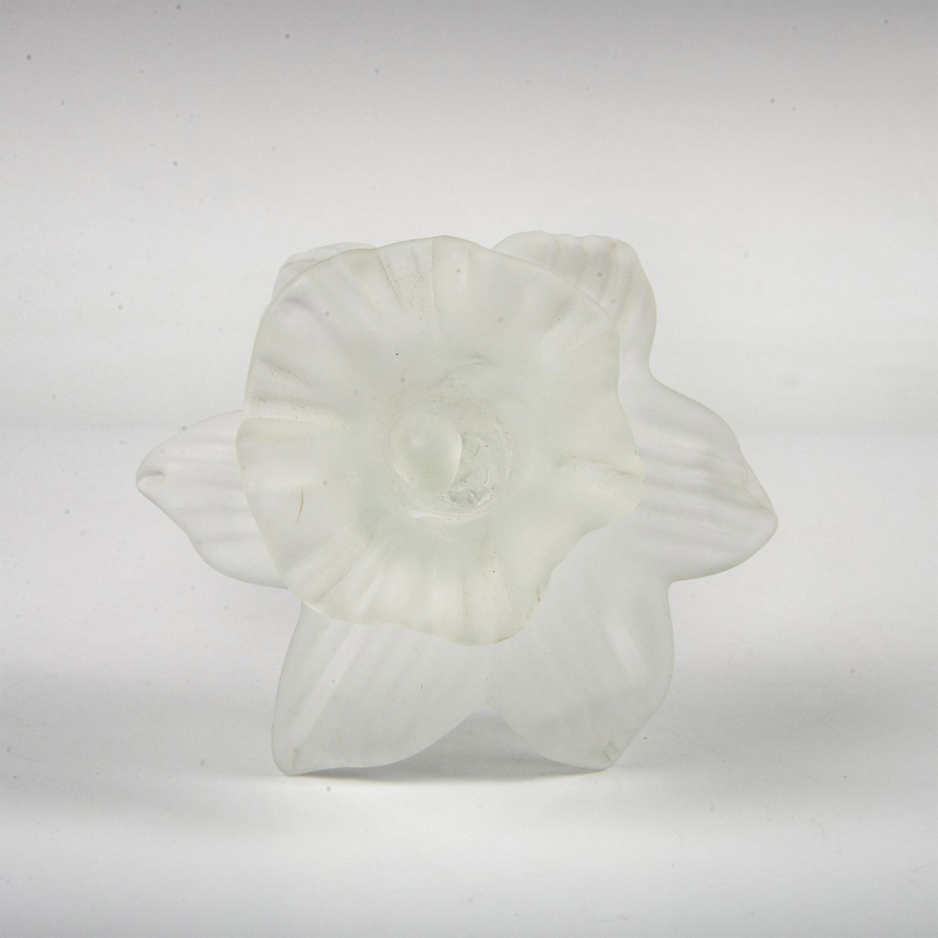 Long Stem Art Glass Flower, Daffodil - Image 5 of 5