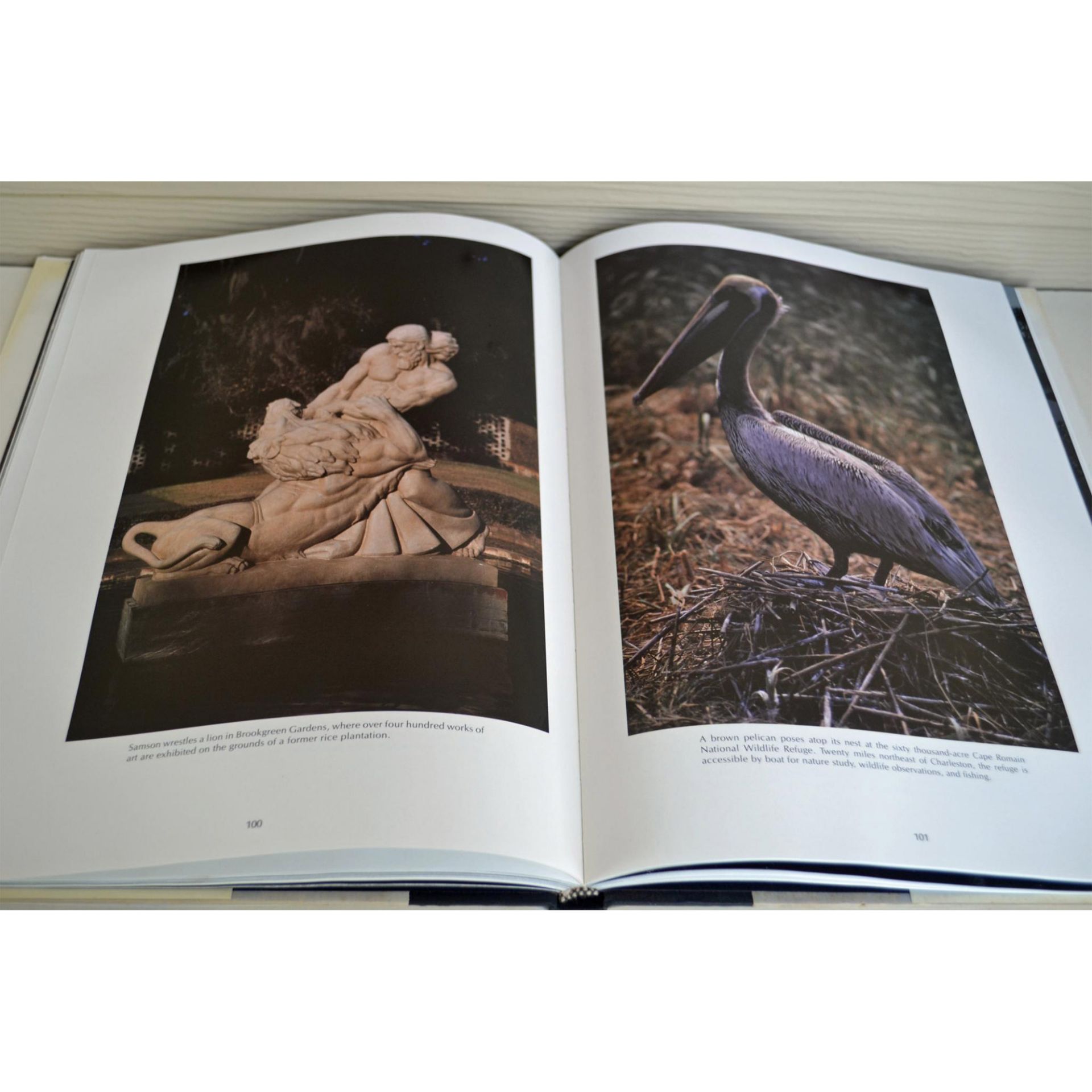 Seven Coffee Table Books, A Collection Of Birds, Animals, The National Audubon Society, The Great Ap - Bild 4 aus 8