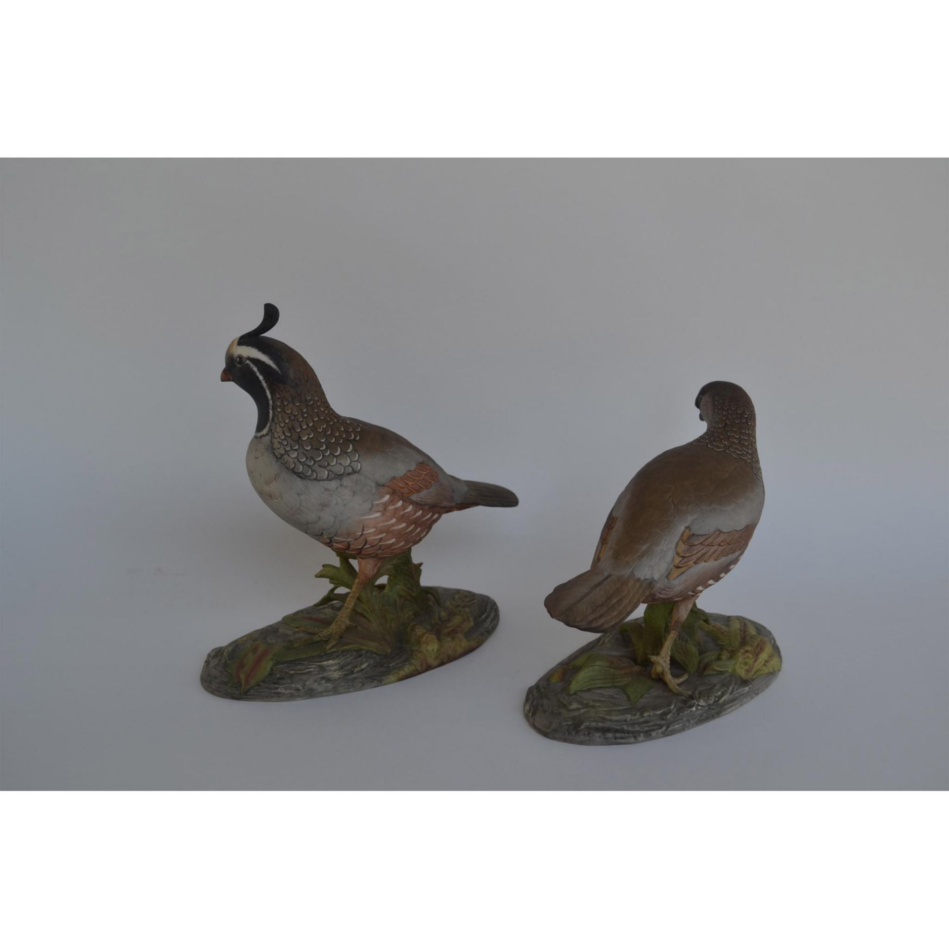 Boehm Porcelain California Quail, Pair - Bild 3 aus 9