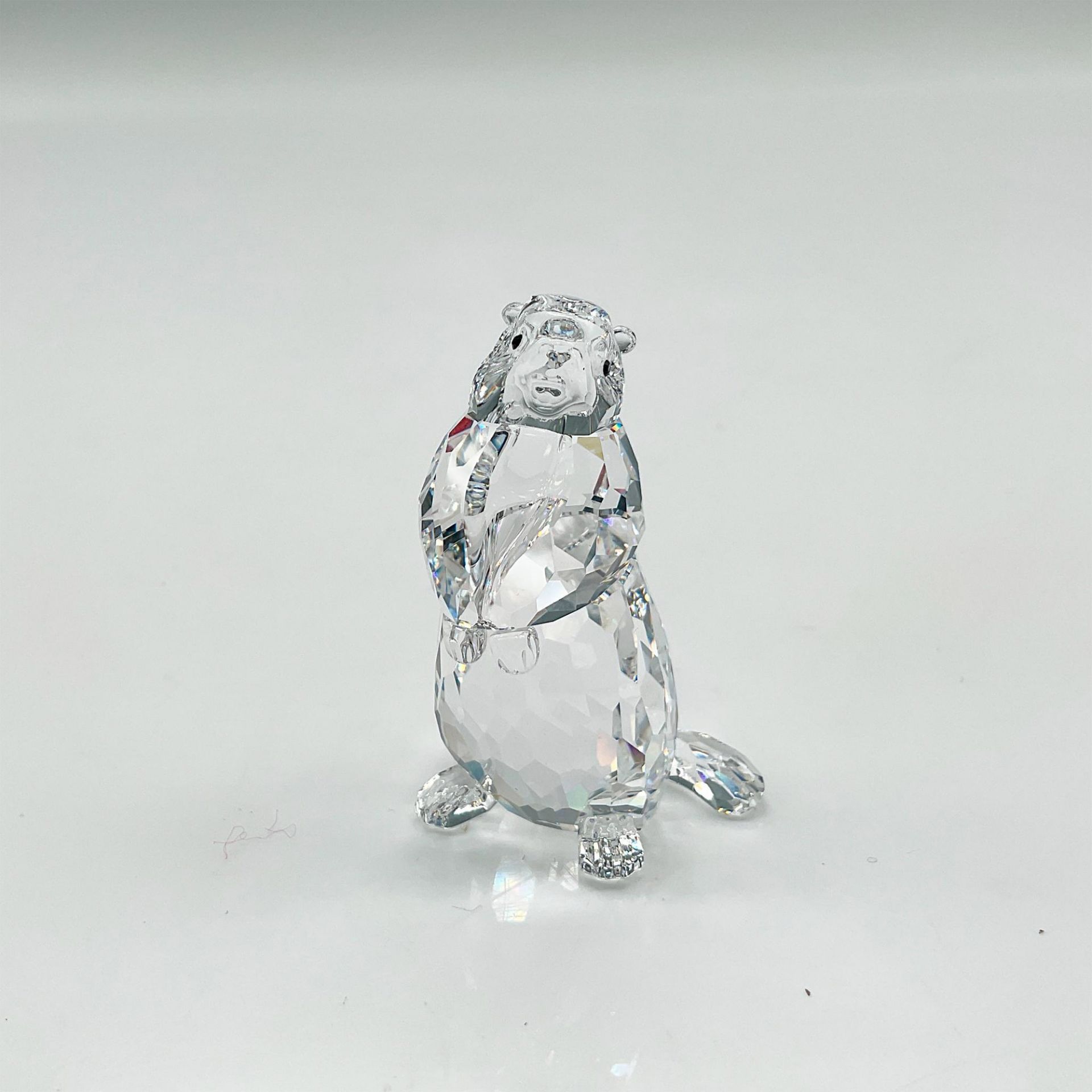 Swarovski Crystal Figurine, Marmot