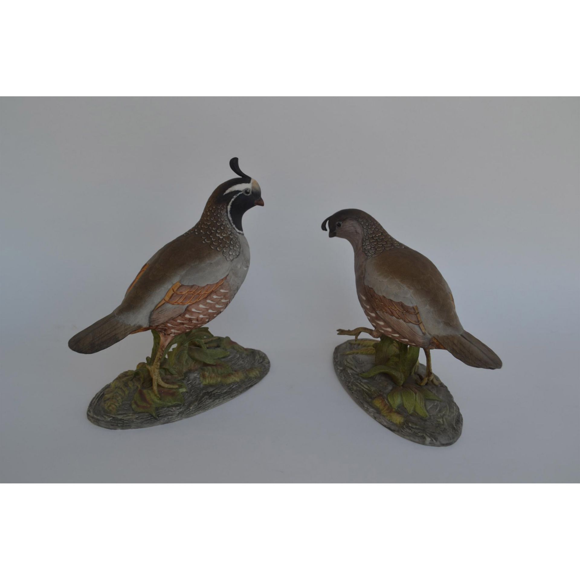 Boehm Porcelain California Quail, Pair - Image 2 of 9