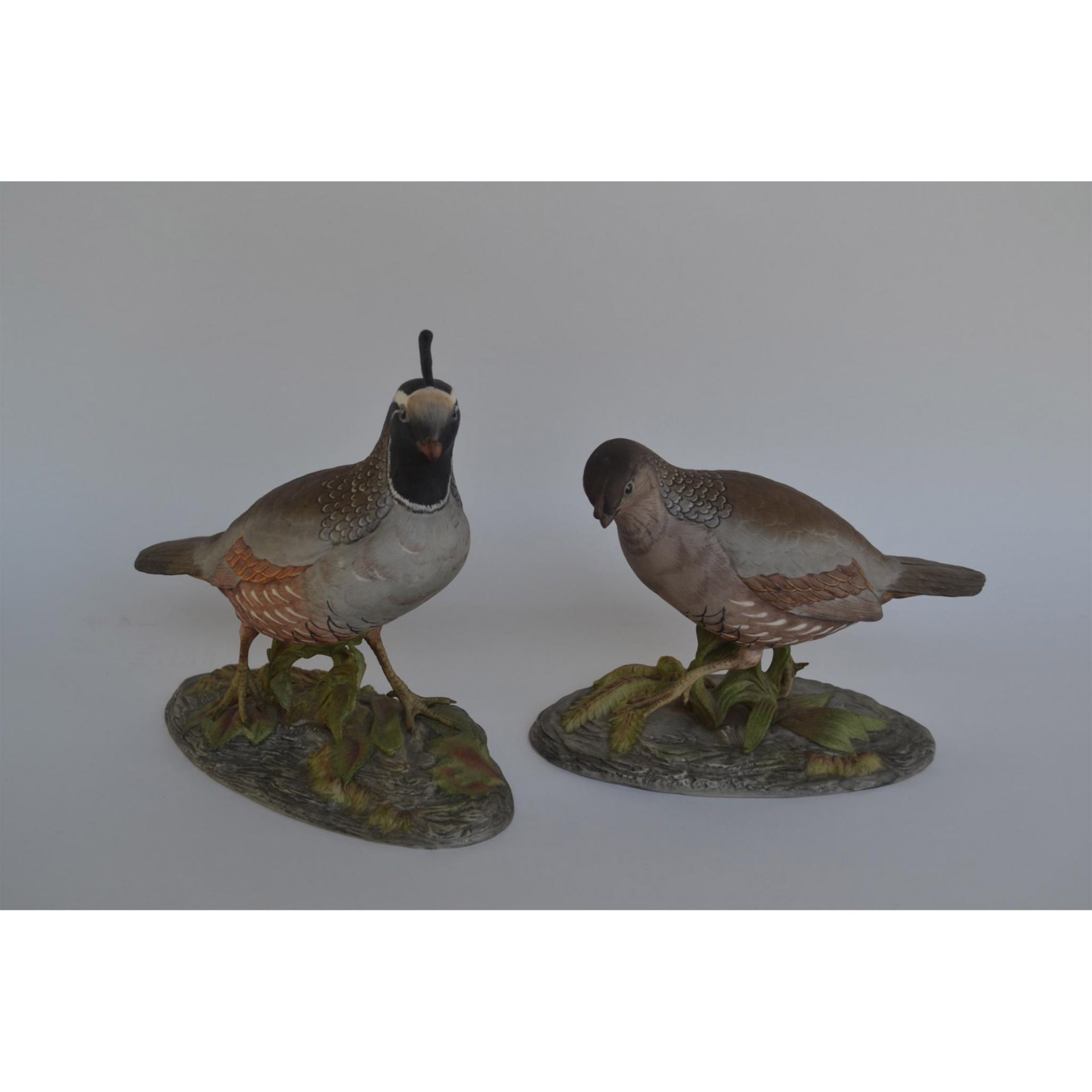 Boehm Porcelain California Quail, Pair