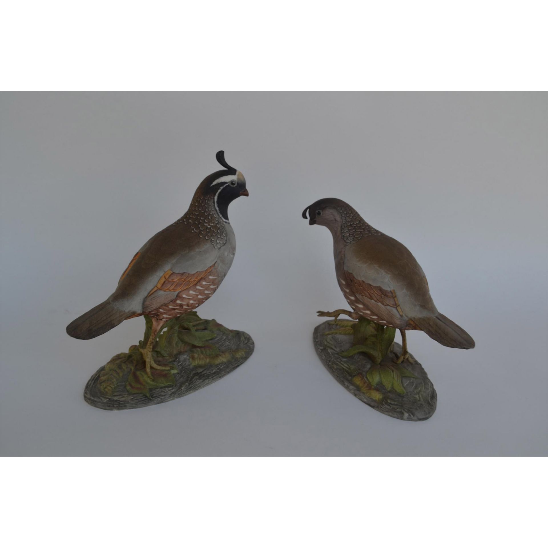 Boehm Porcelain California Quail, Pair - Bild 4 aus 9