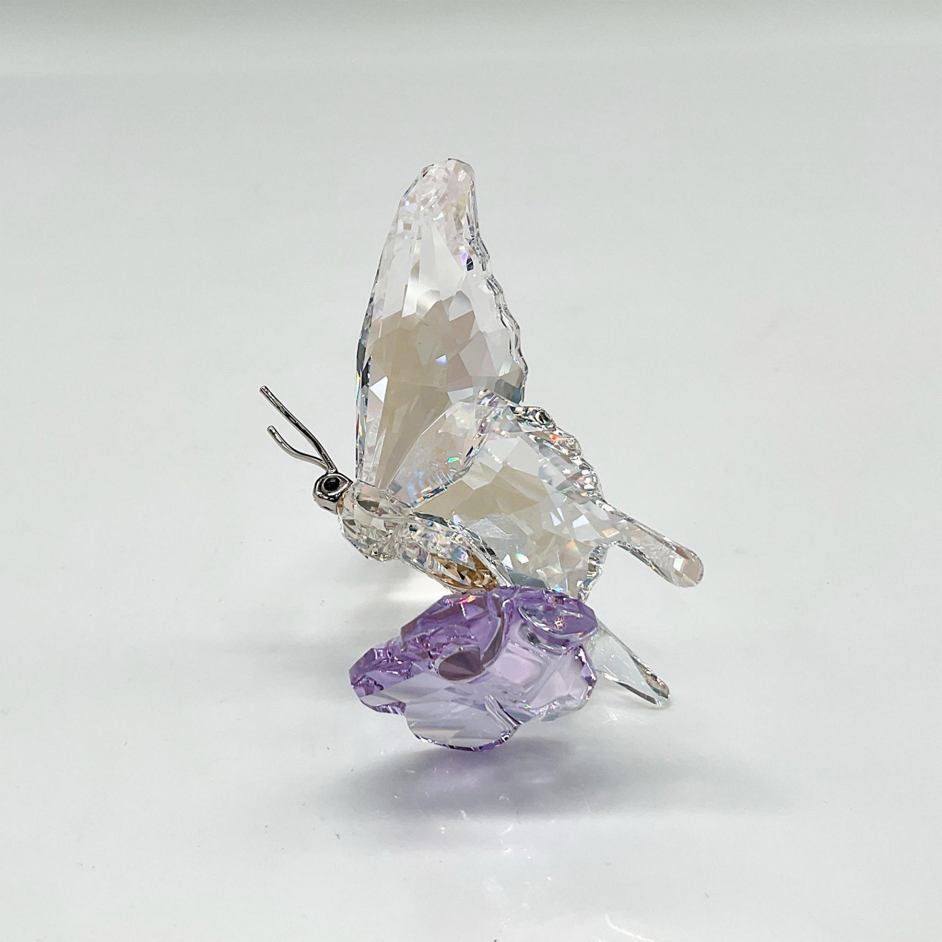 Swarovski Crystal Figurine, 2013 Event Piece Butterfly - Image 3 of 4