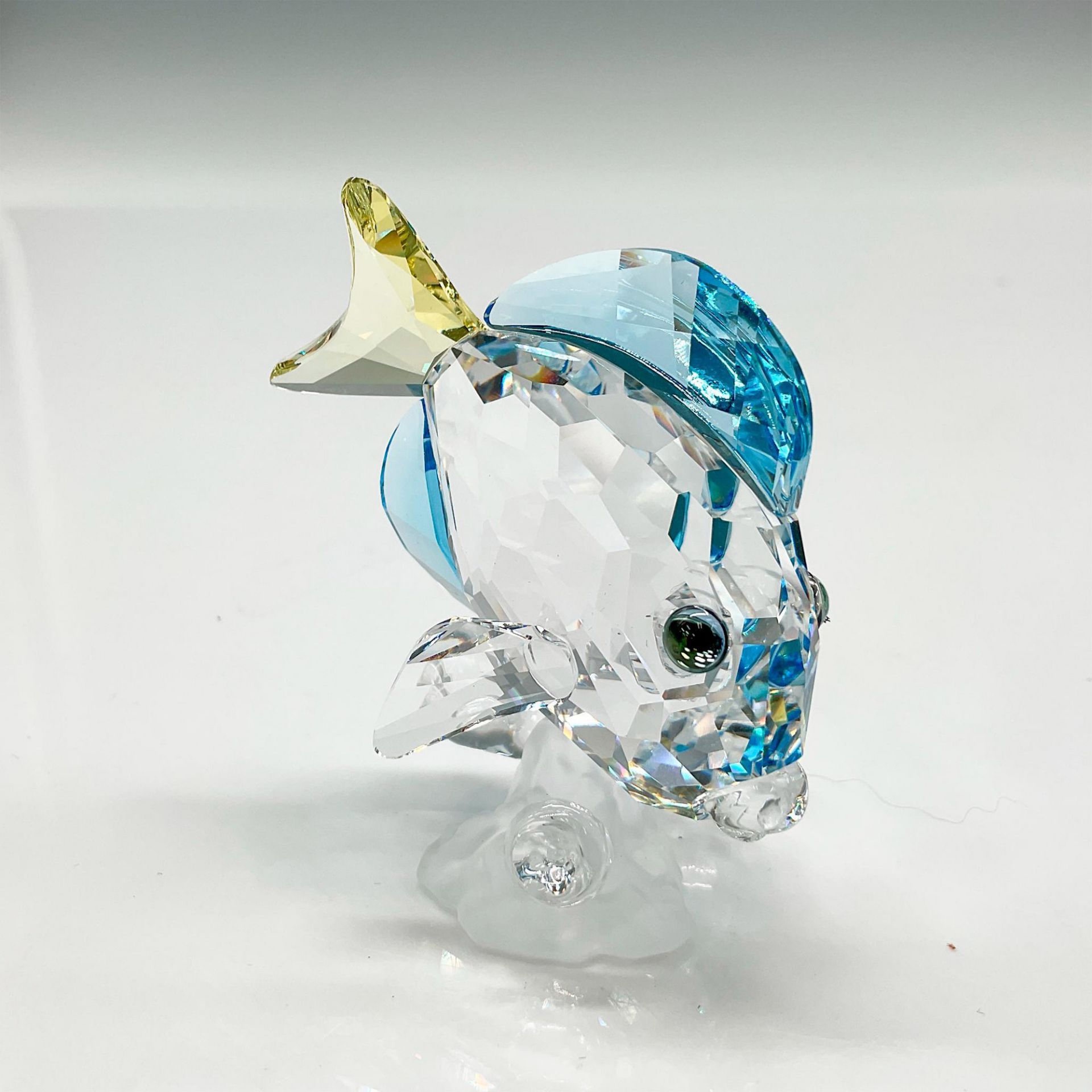 Swarovski Crystal Figurine, Blue Tang Fish