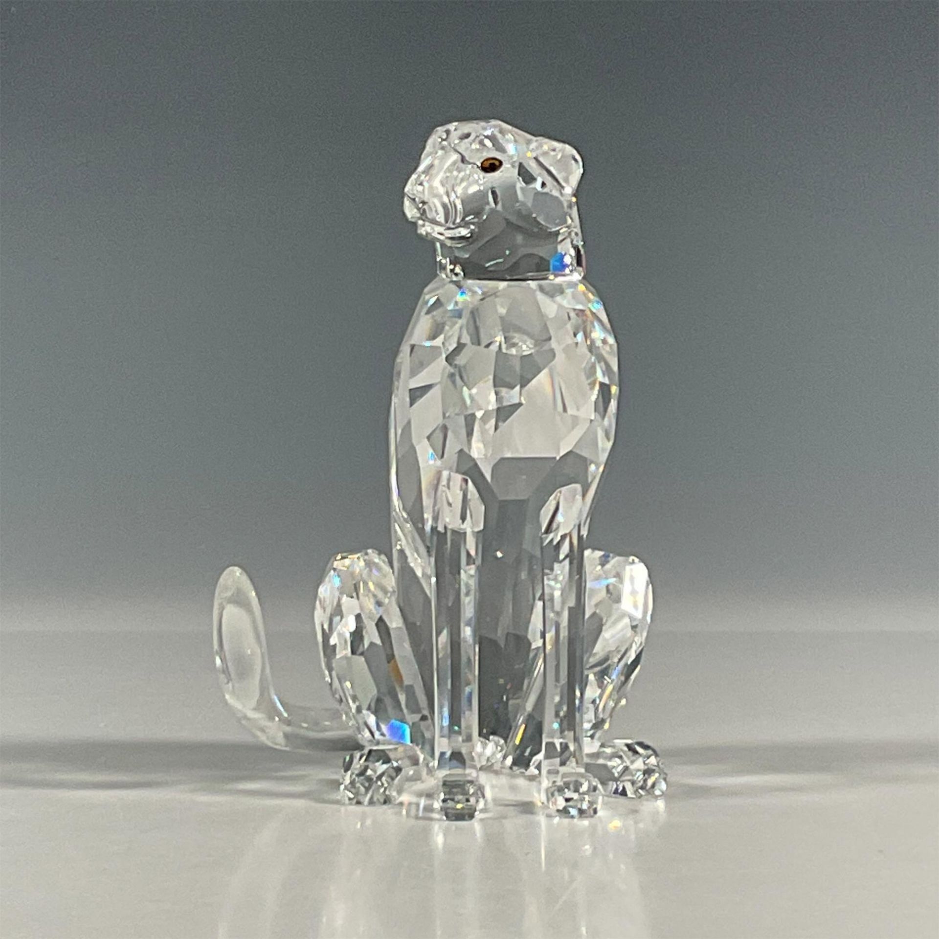 Swarovski Silver Crystal Figurine, Cheetah - Bild 2 aus 5