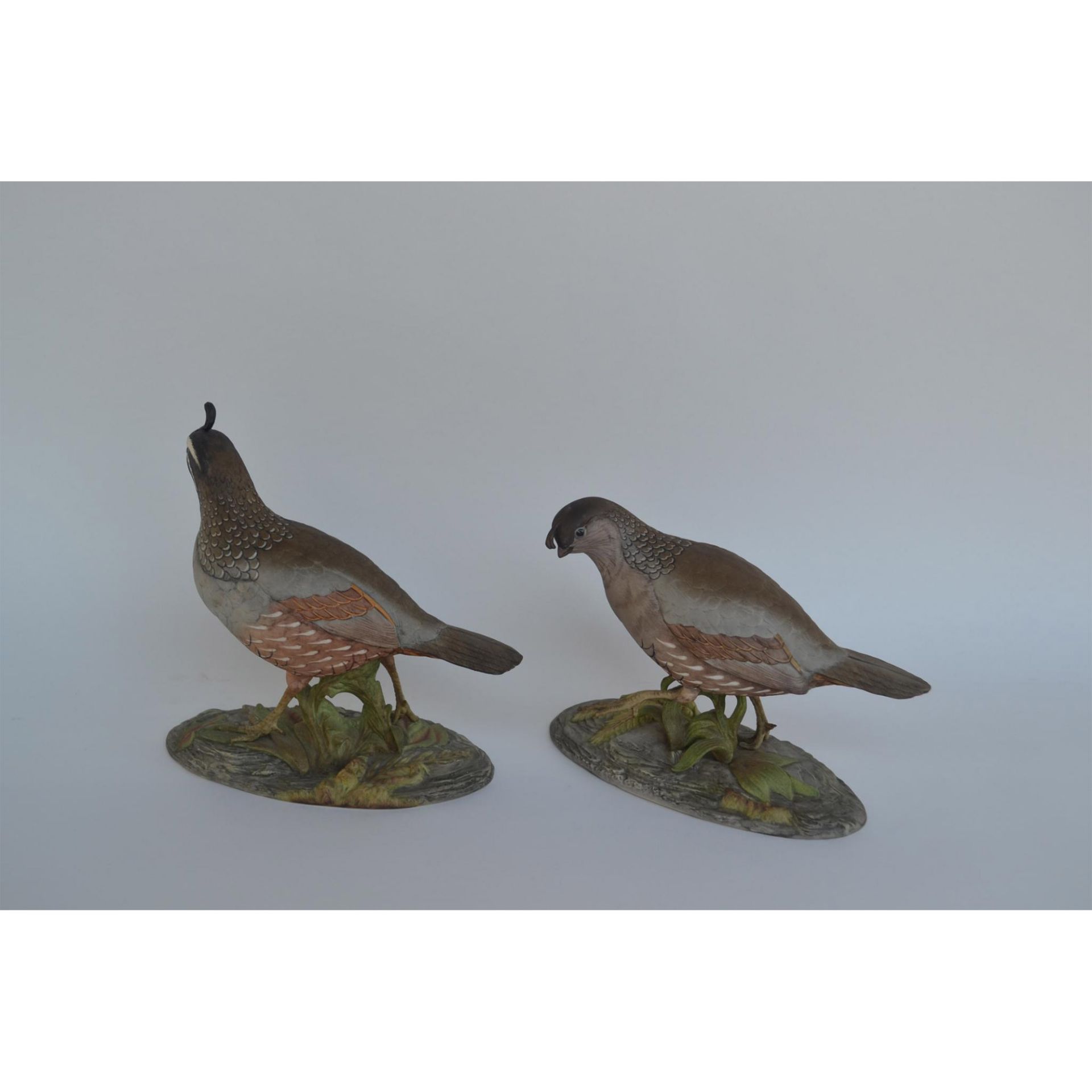 Boehm Porcelain California Quail, Pair - Bild 5 aus 9