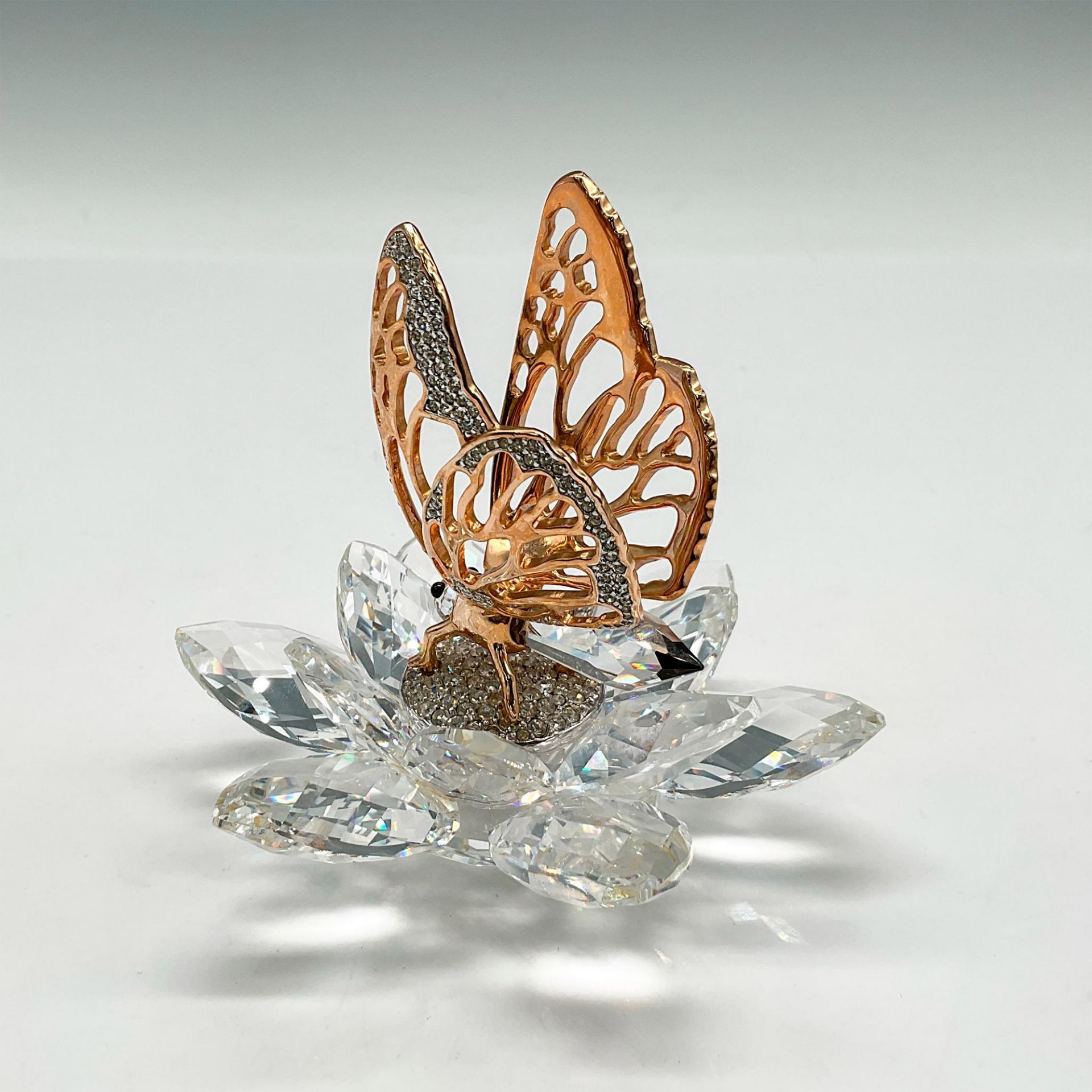 Swarovski Silver Crystal Figurine, In Flight Butterfly - Bild 2 aus 3