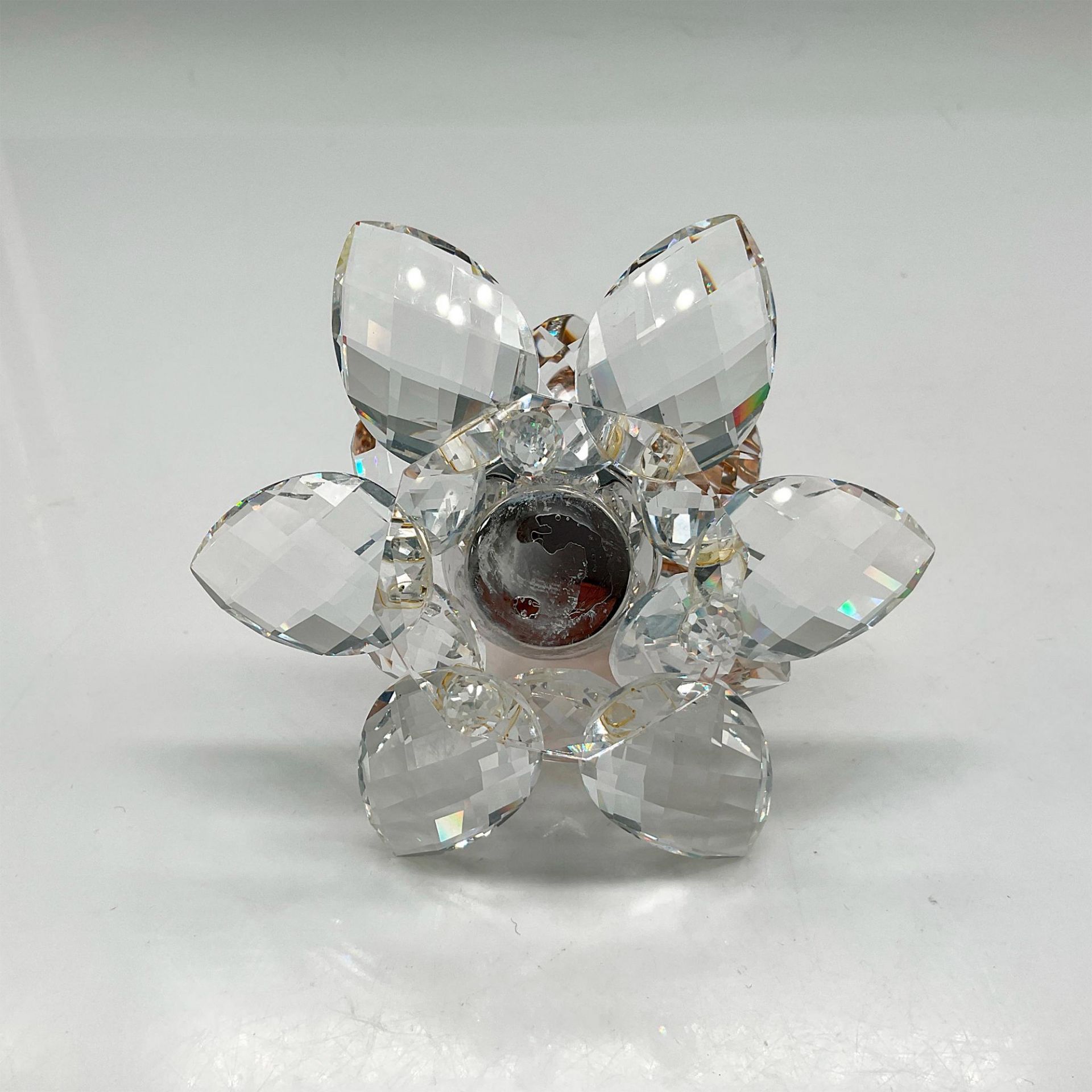 Swarovski Silver Crystal Figurine, In Flight Butterfly - Bild 3 aus 3