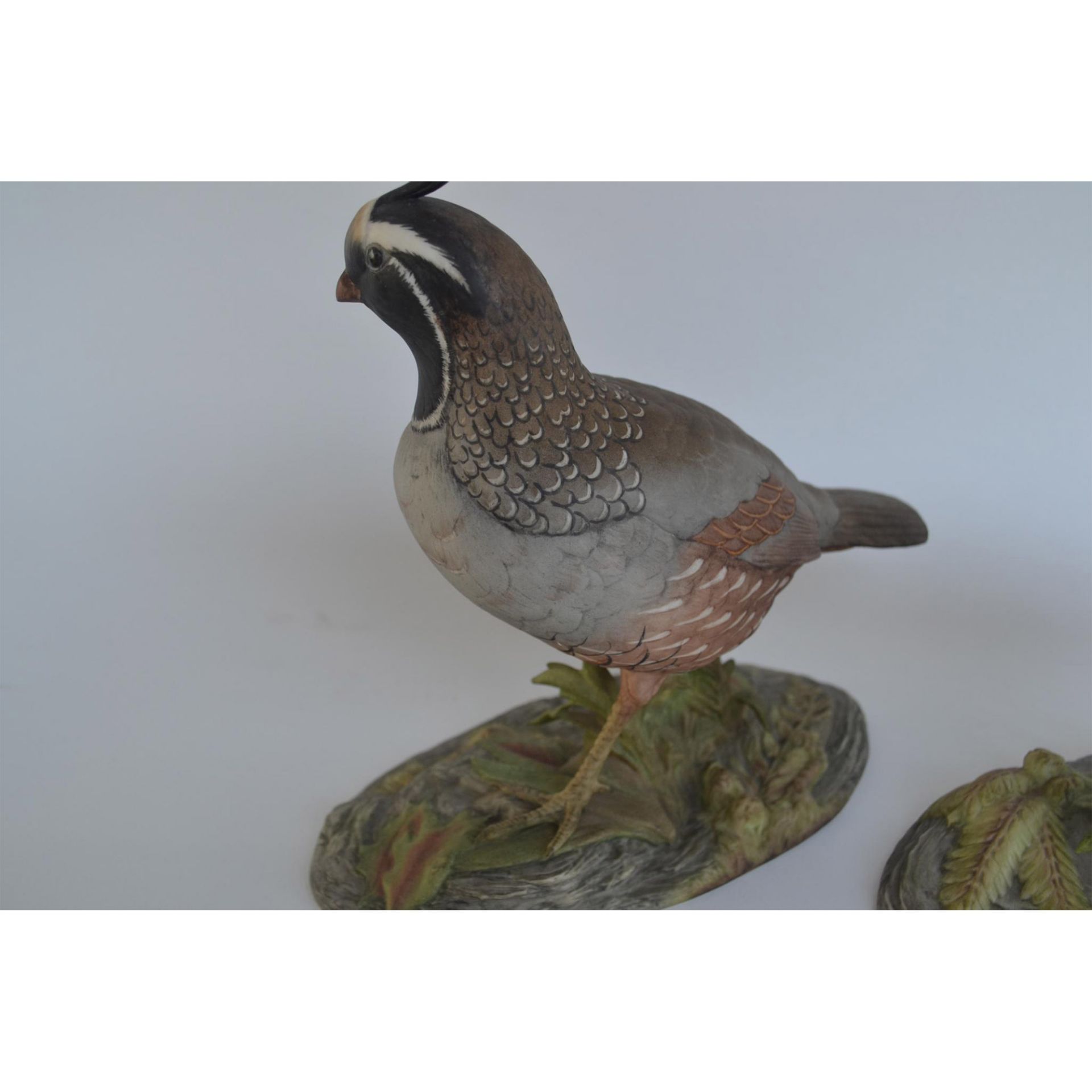 Boehm Porcelain California Quail, Pair - Bild 9 aus 9