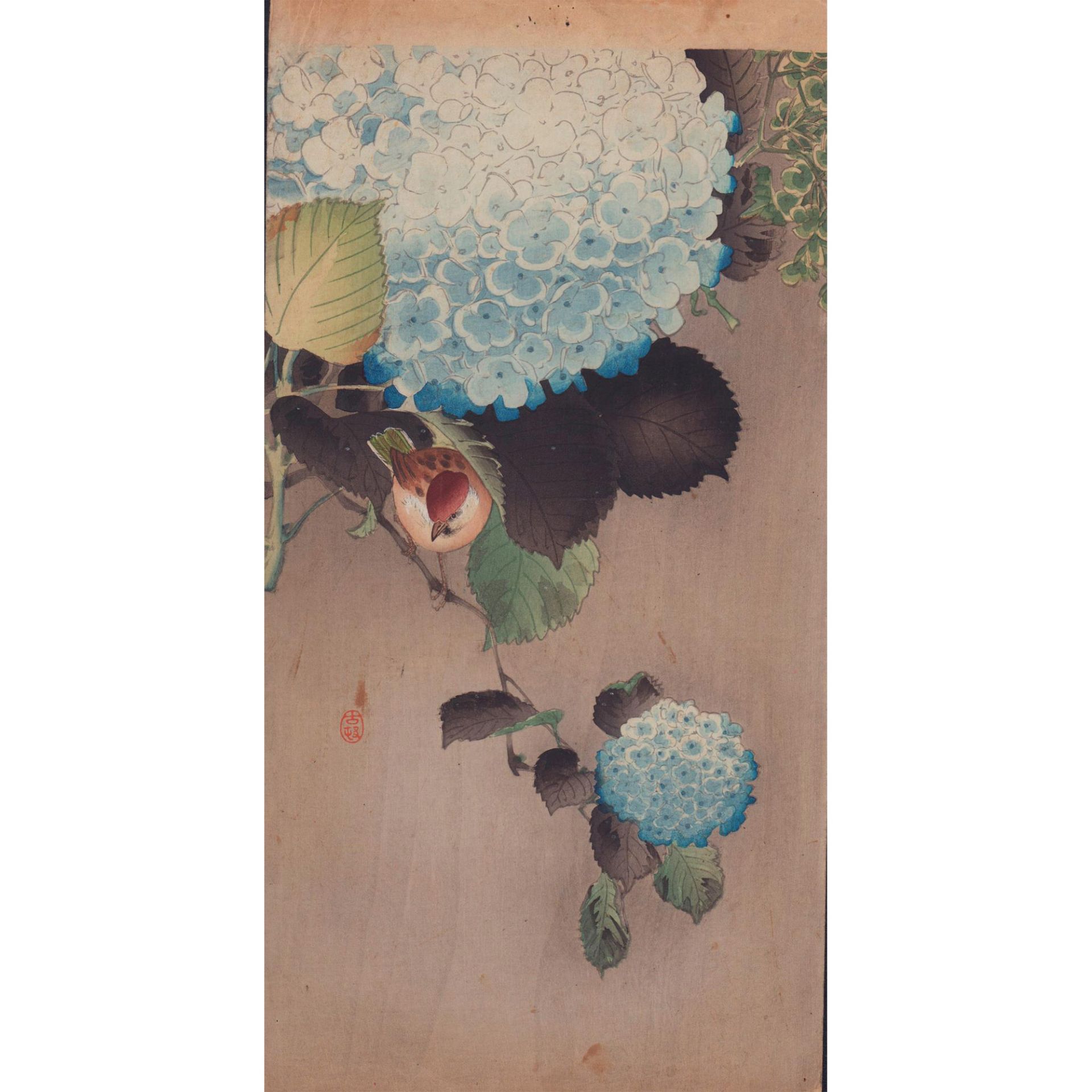 Koson (Japanese) Woodblock Print, Sparrow on Hydrangea