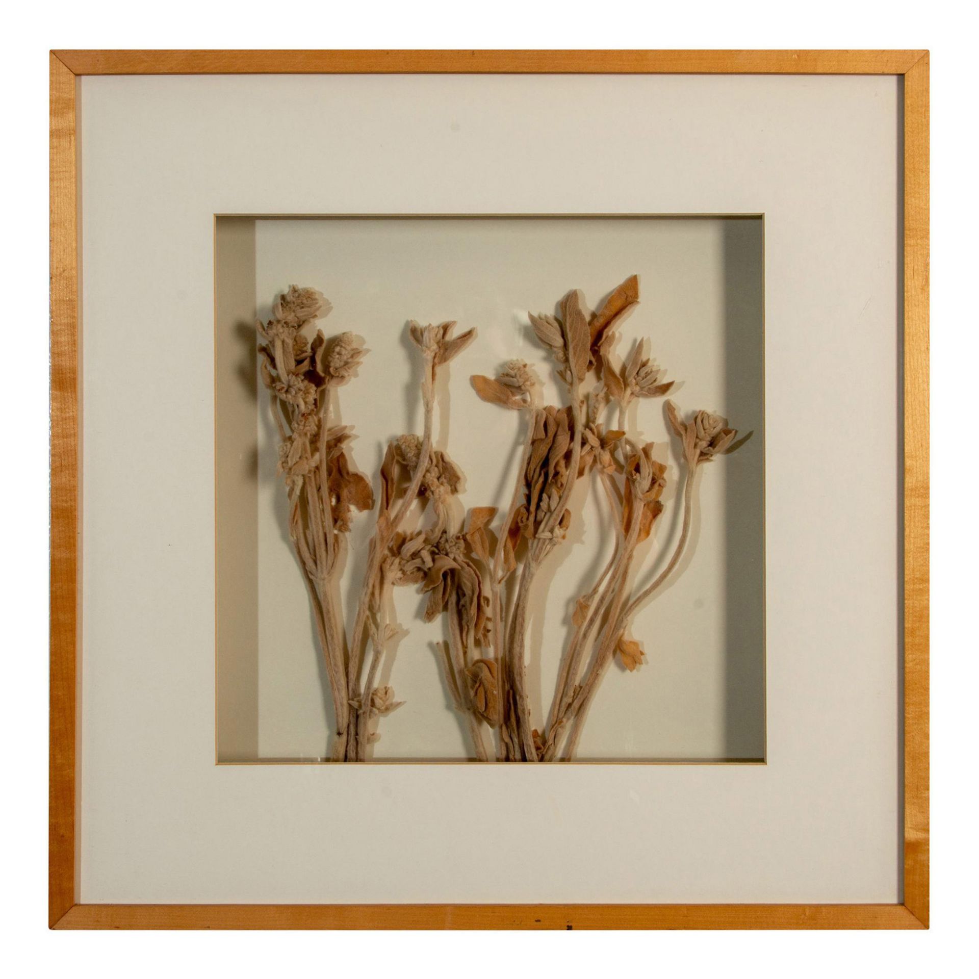 Dried Flowers Botanical Arrangement Still Life