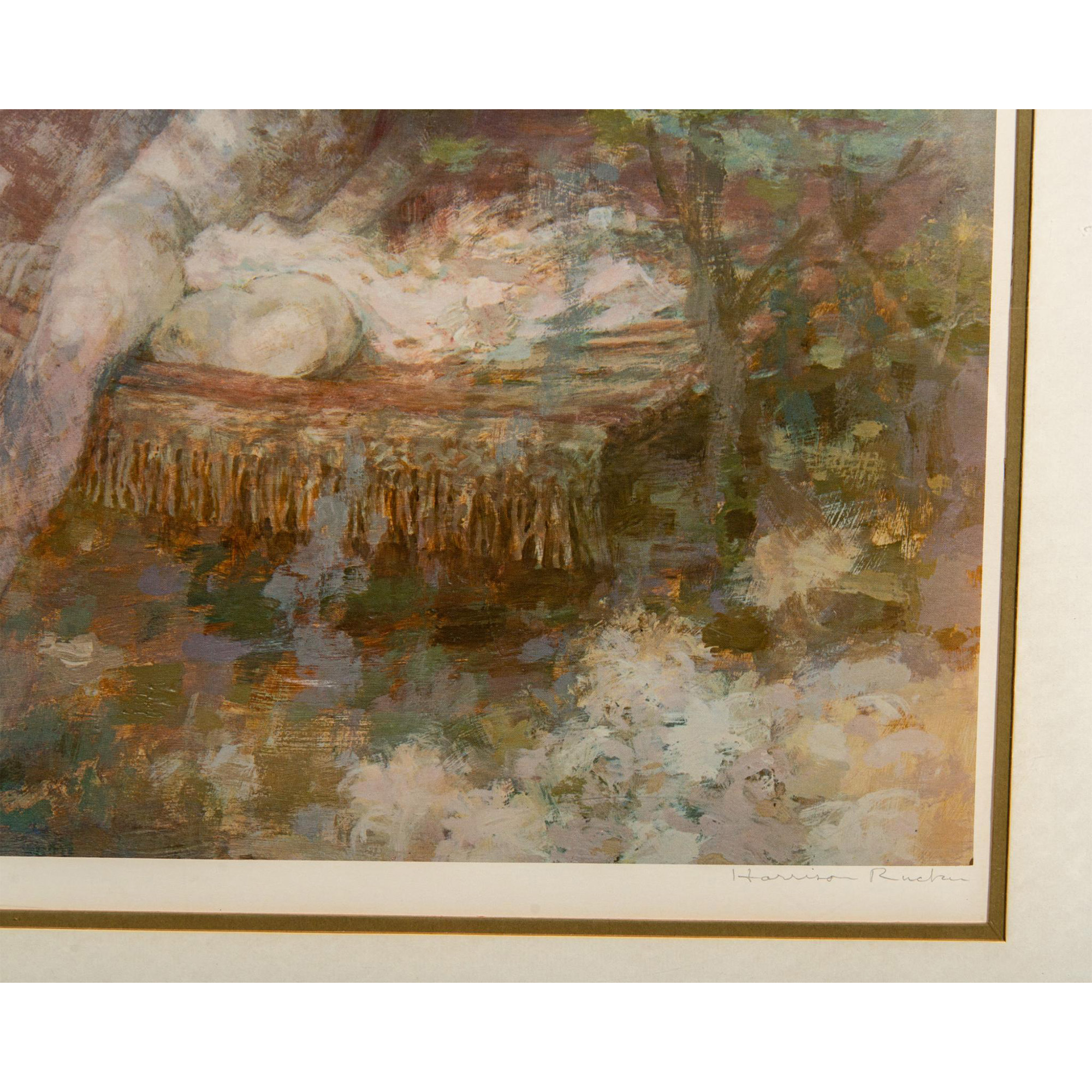 Framed Color Print, The Fringed by Harrison Rucker - Image 3 of 6