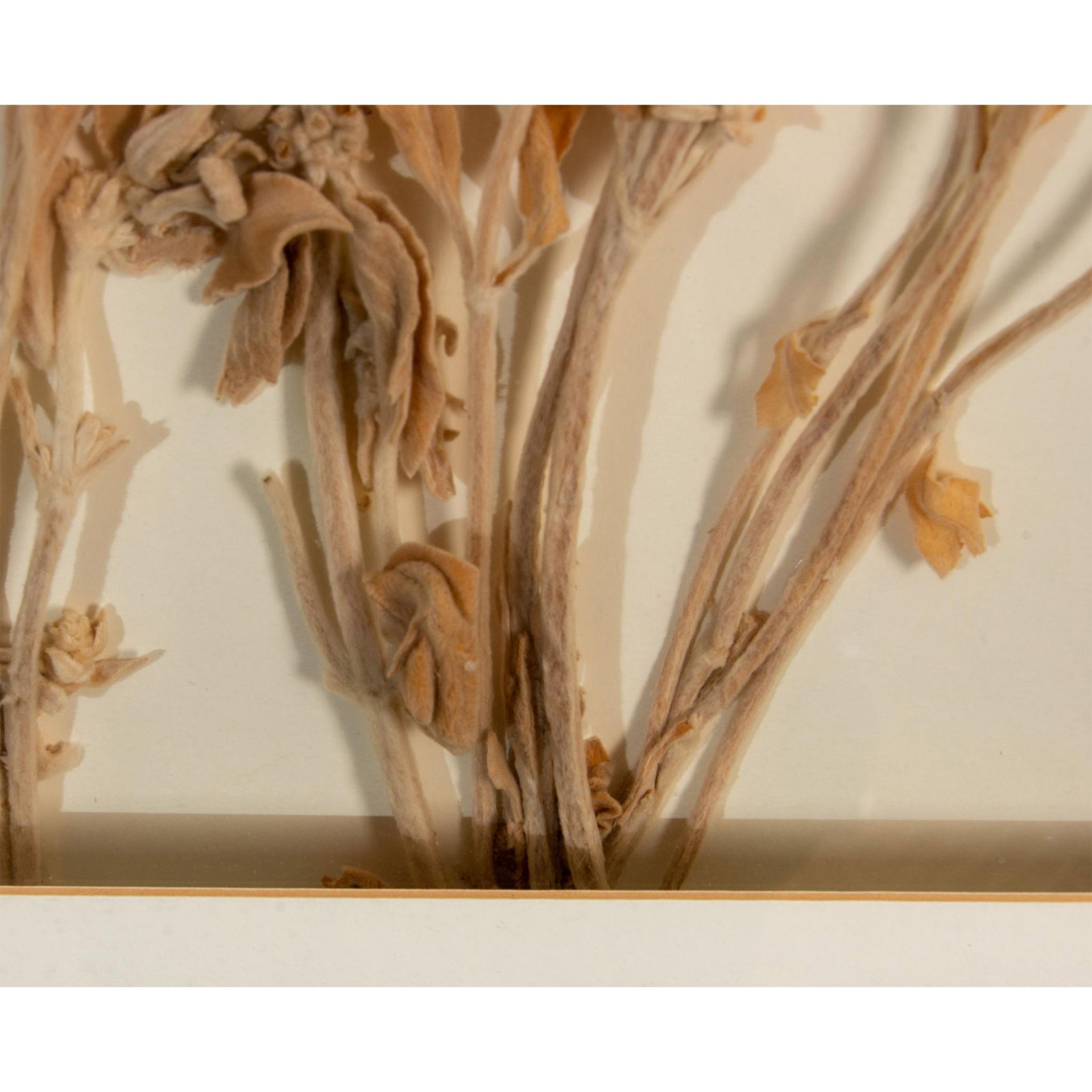 Dried Flowers Botanical Arrangement Still Life - Bild 6 aus 7