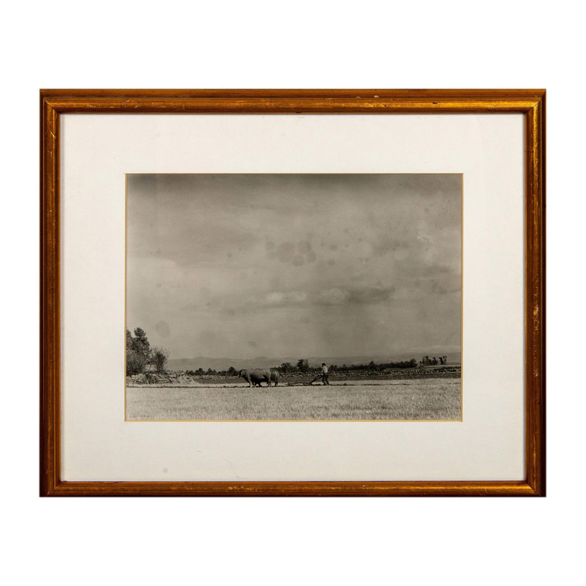 3pc Framed Italian Monochrome Silver Gelatin Photographs - Image 10 of 13