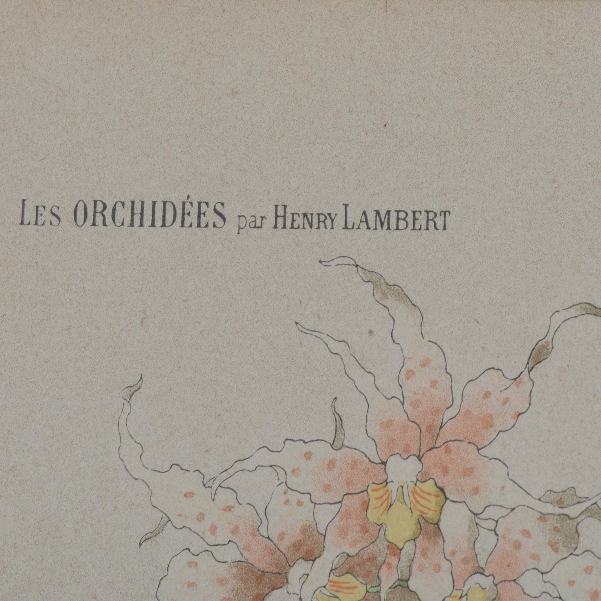 Henry Lambert Botanical Print, Orchids - Image 4 of 7