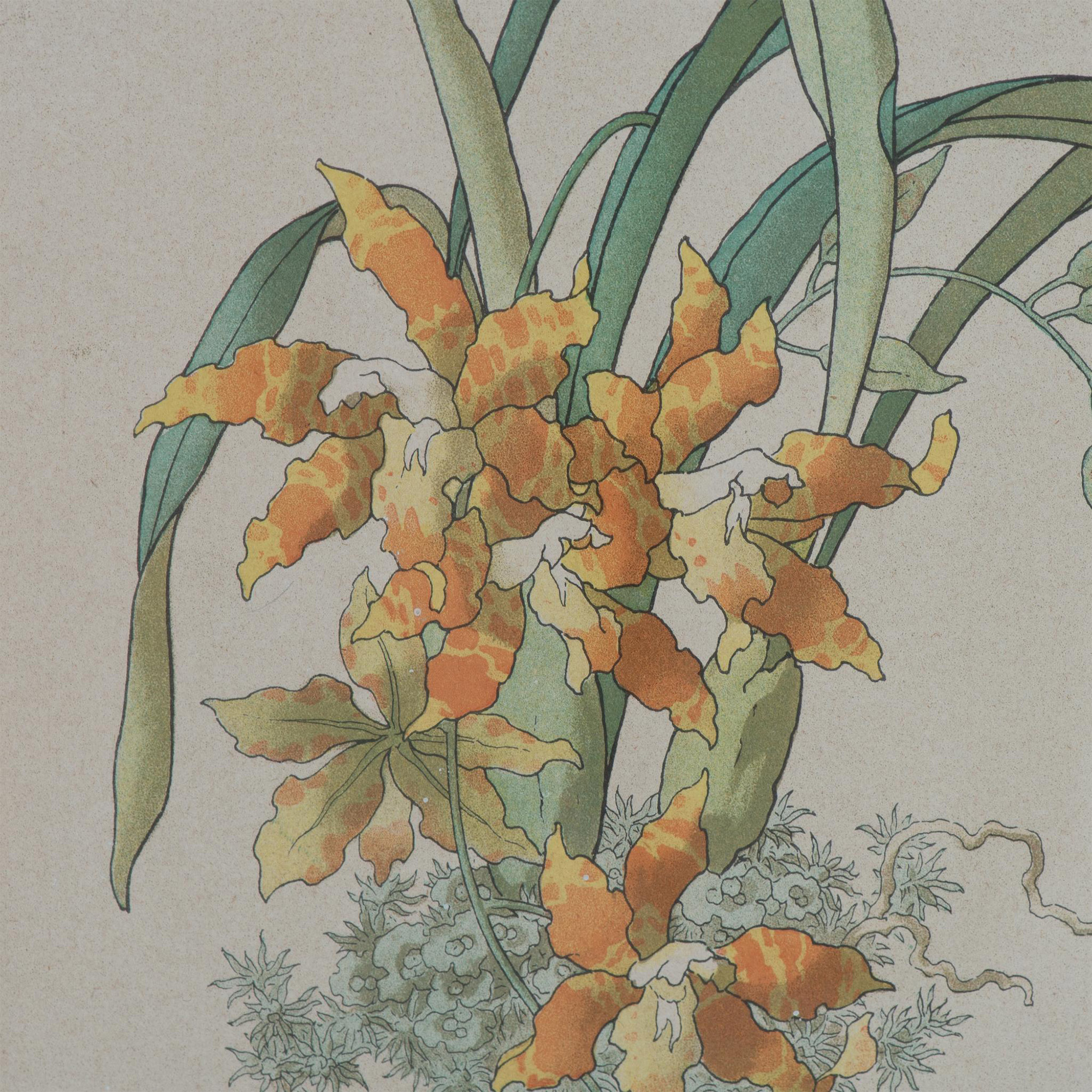 Henry Lambert Botanical Print, Orchids - Image 5 of 7