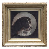 Original Oil on Canvas, Portrait of a English Spaniel