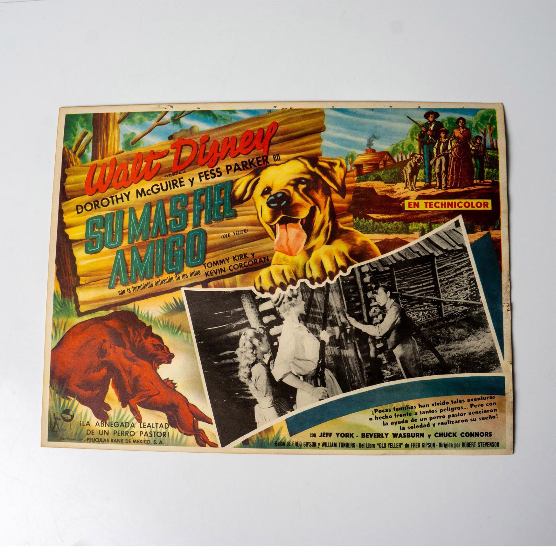 Original Walt Disney Spanish Color Lithograph Movie Poster, Old Yeller - Image 2 of 2